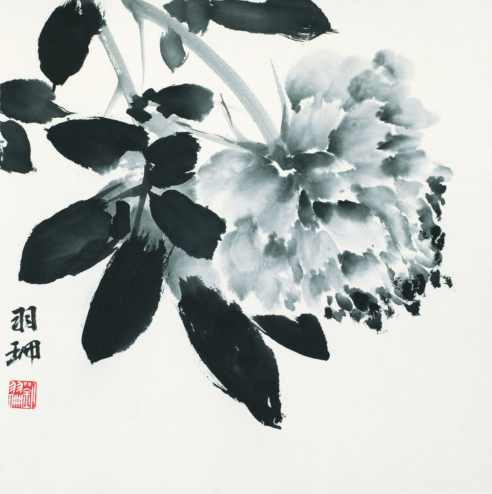 花卉小品