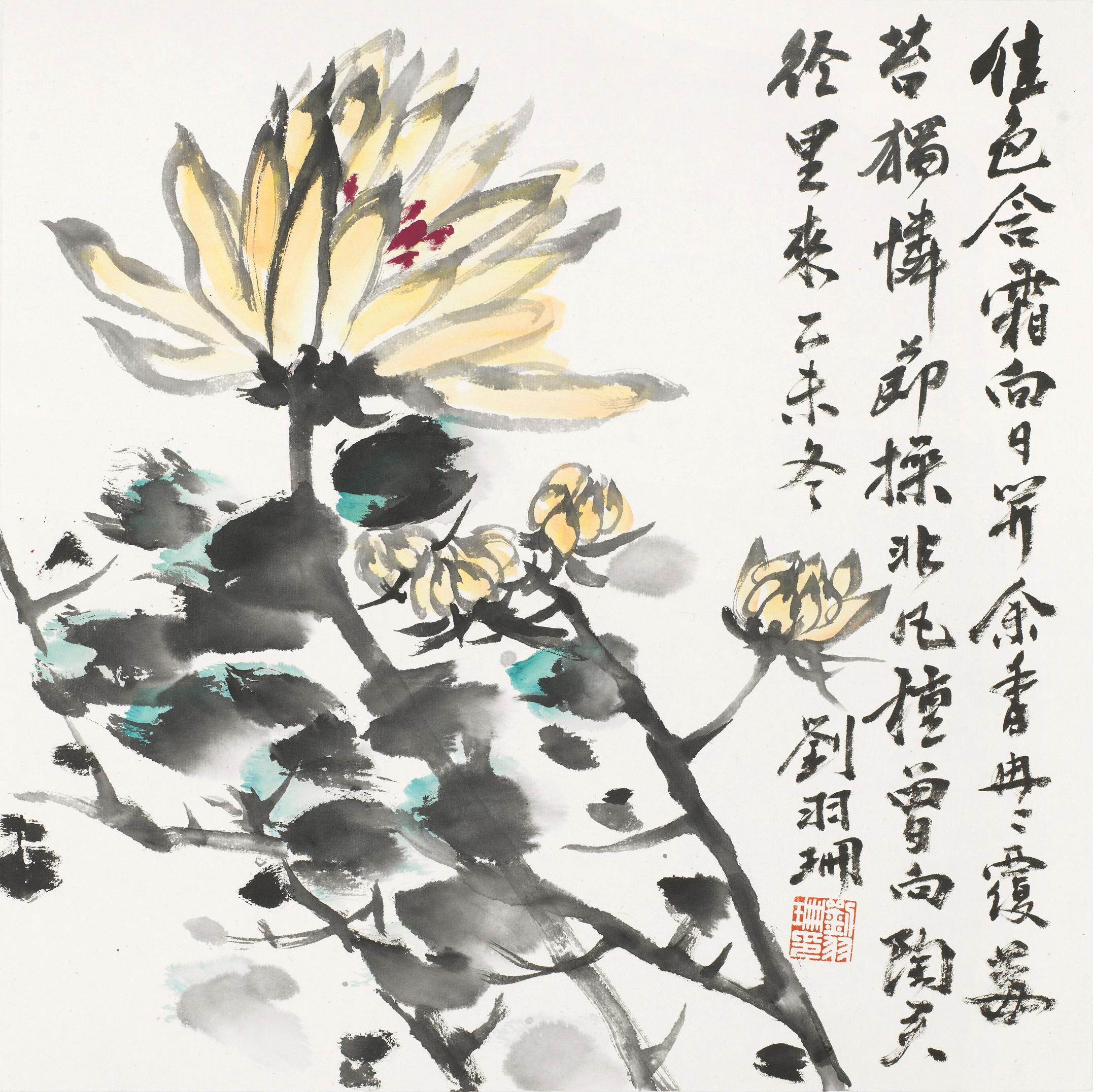 花卉小品
