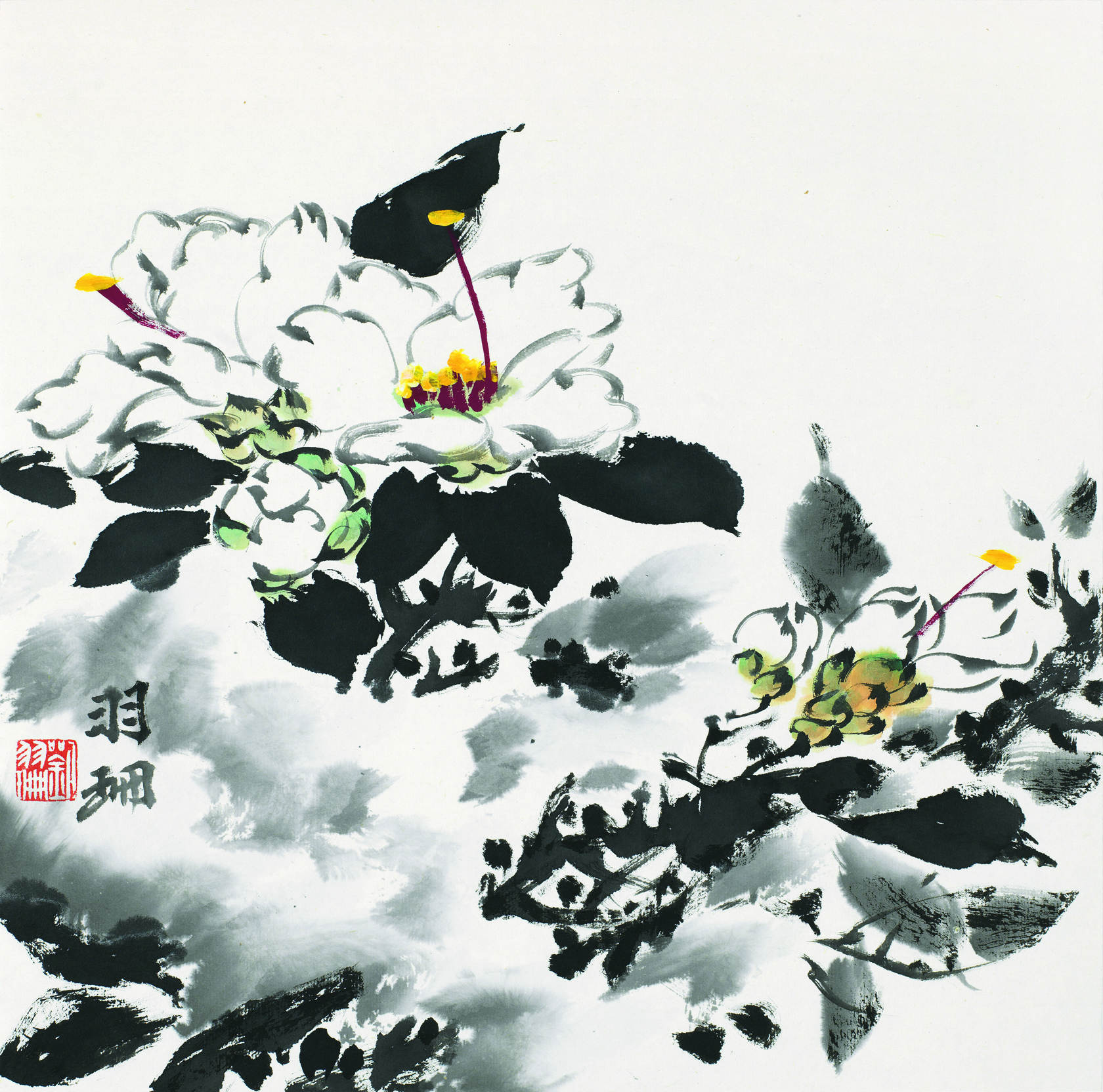 花卉小品