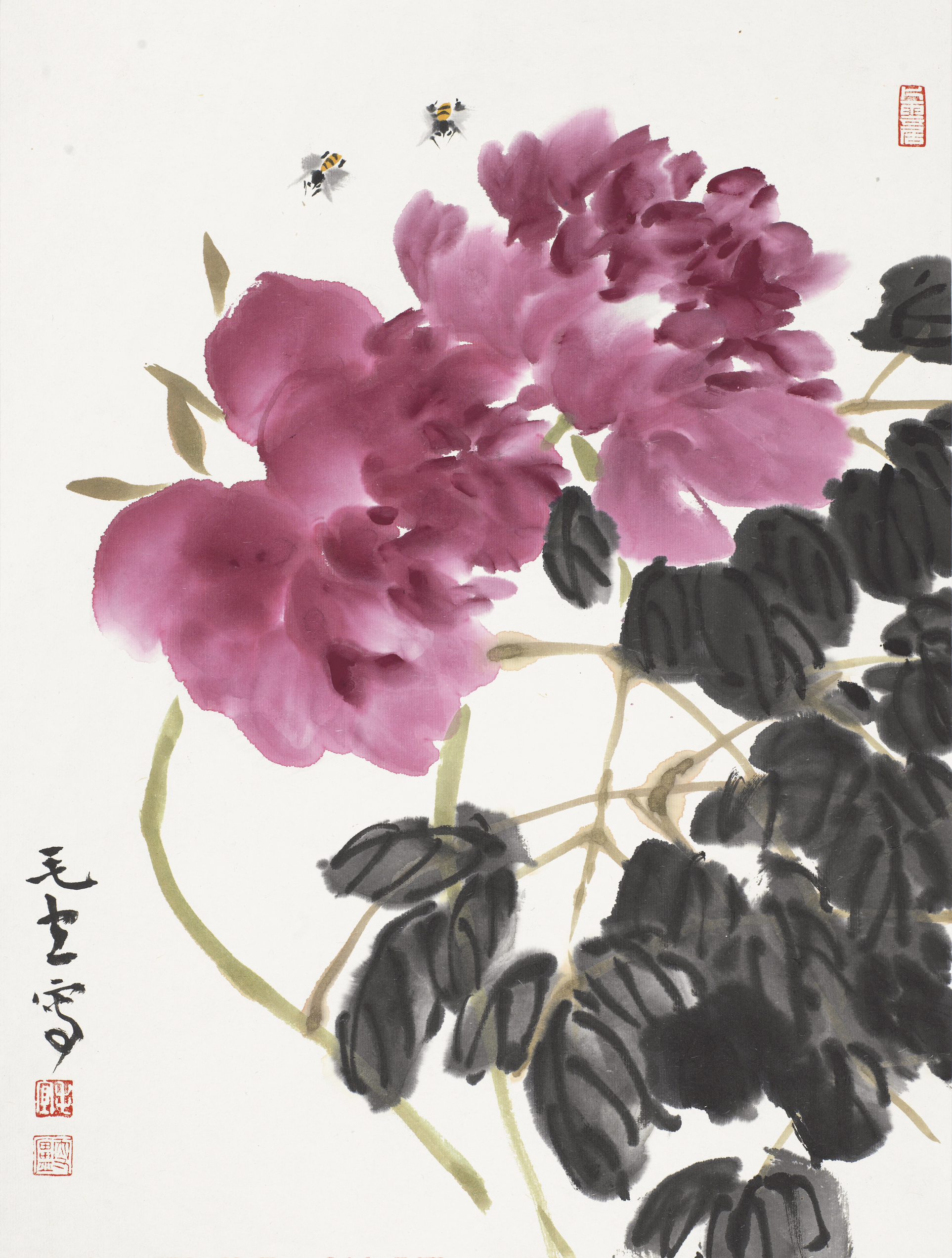 花鸟小品