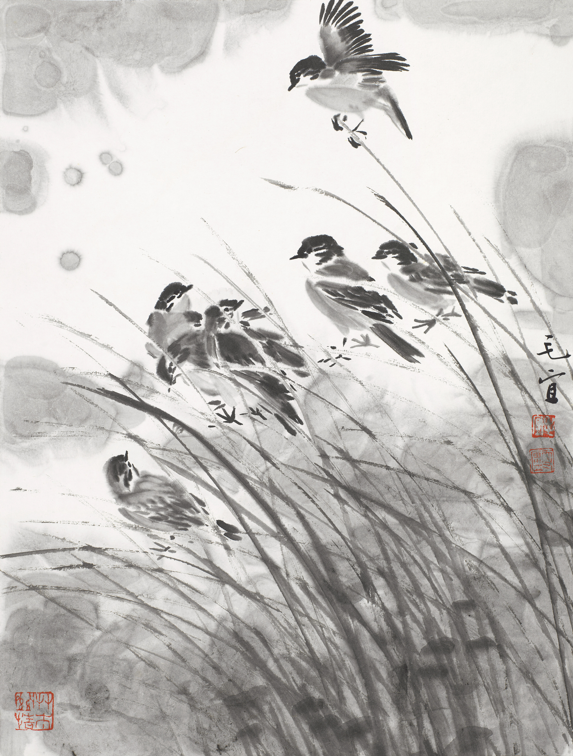 毛宜-花鸟小品-鉴证备案-雅昌艺术网——中国艺术品门户网站