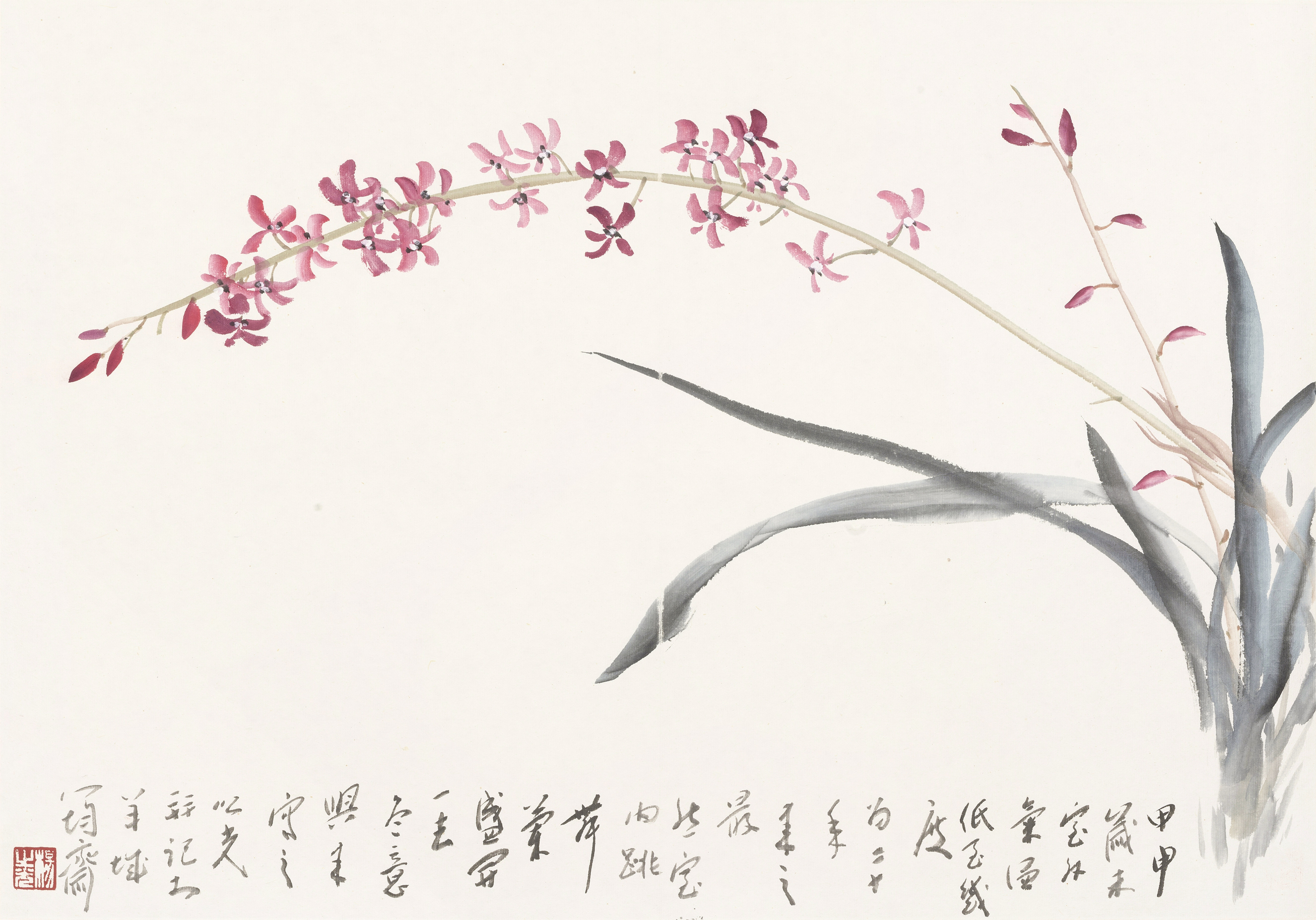 兰花