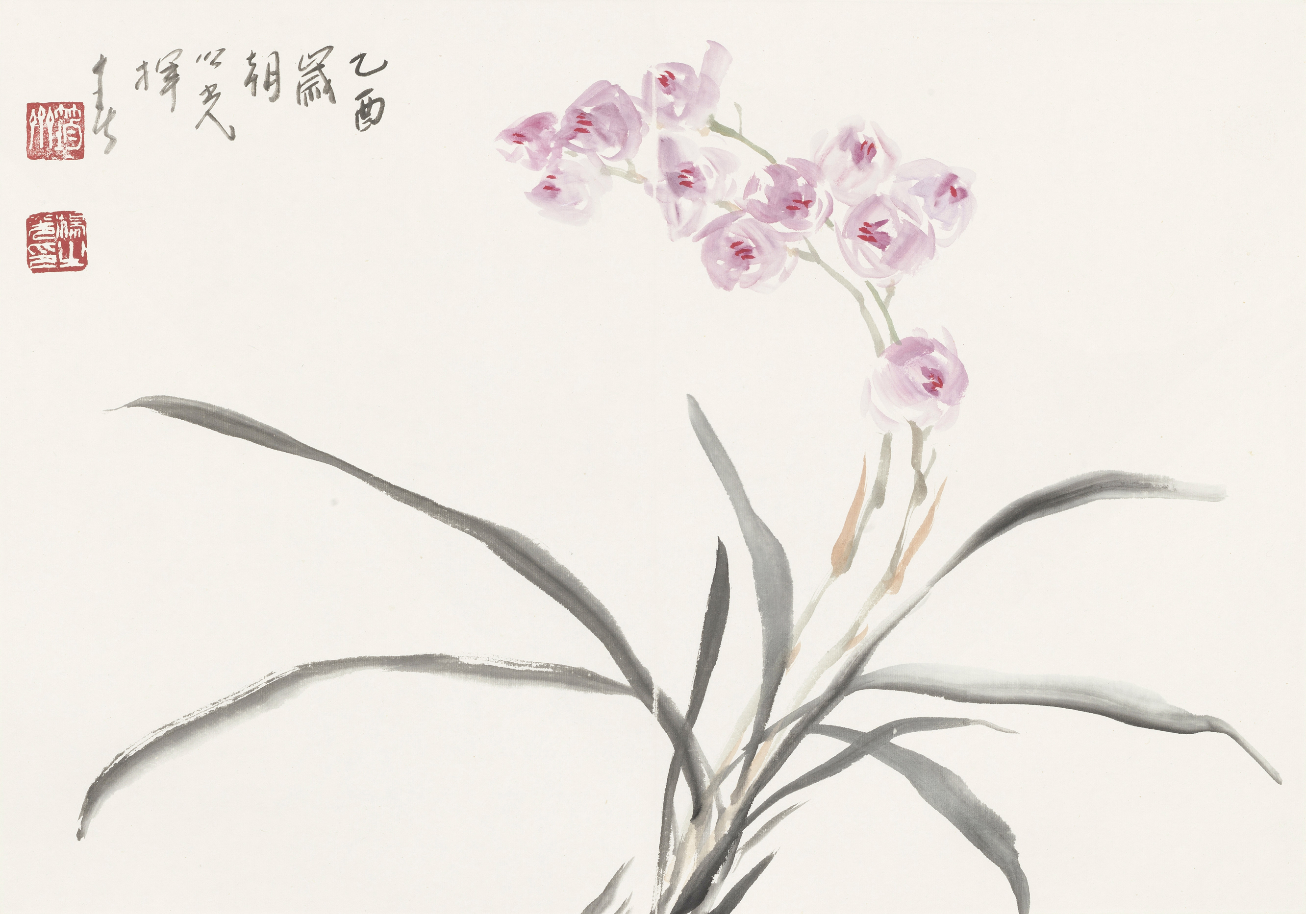花卉