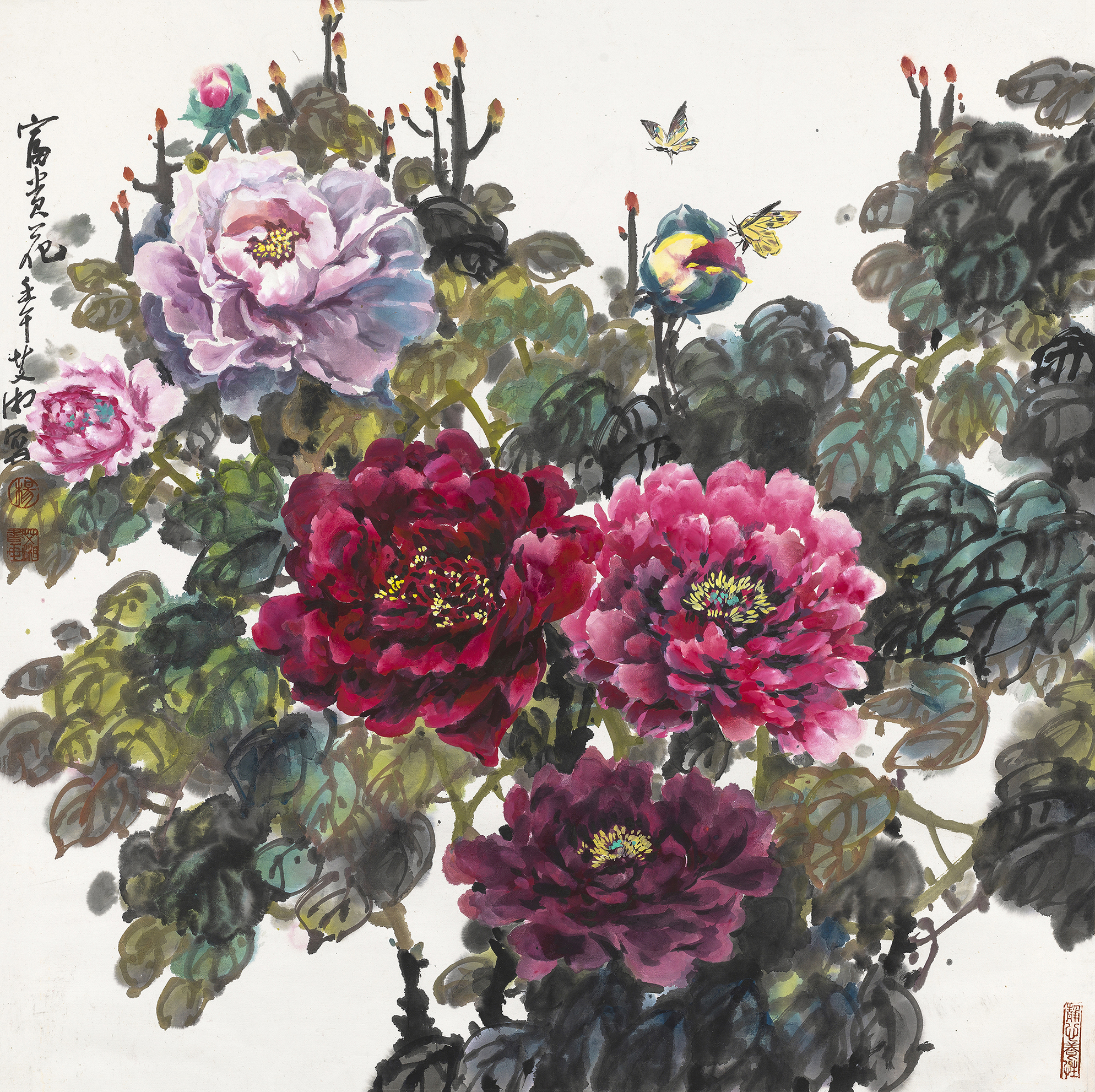 富贵花
