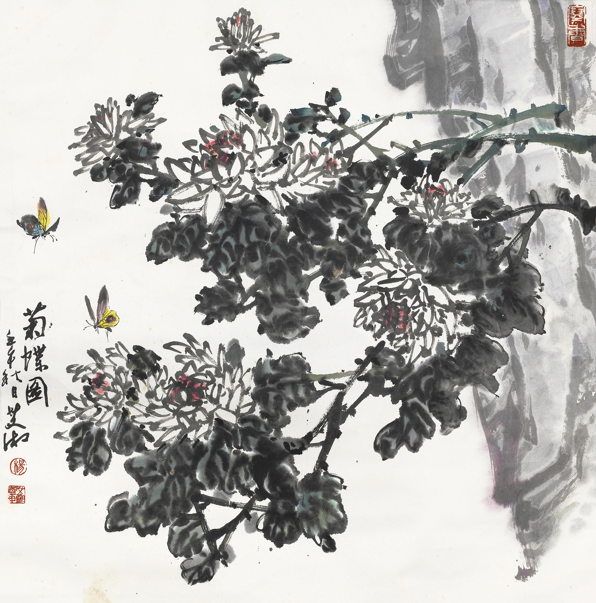 菊蝶图