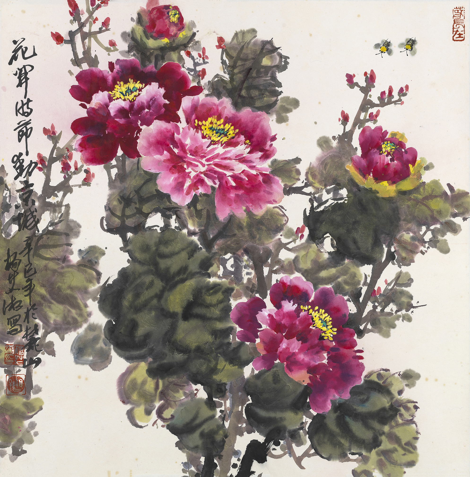 花开时节
