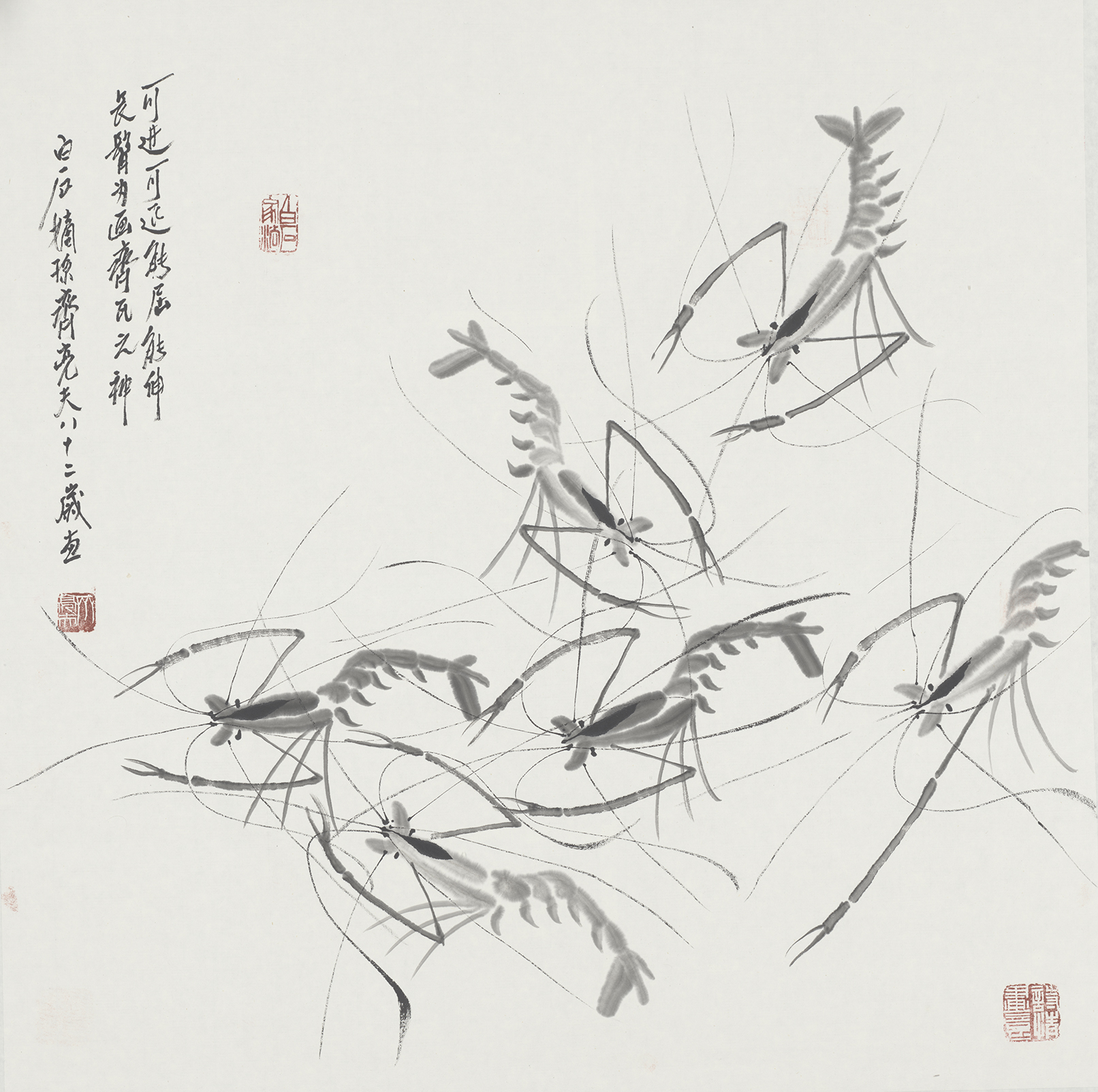 龙腾