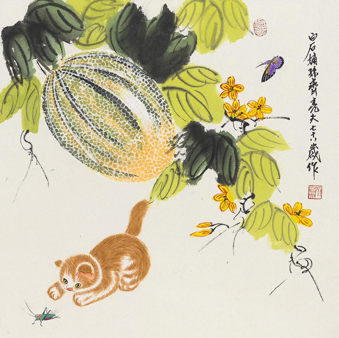 猫