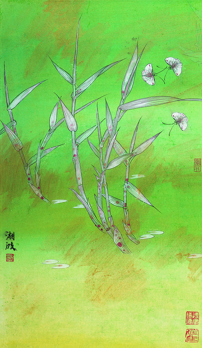 芦苇