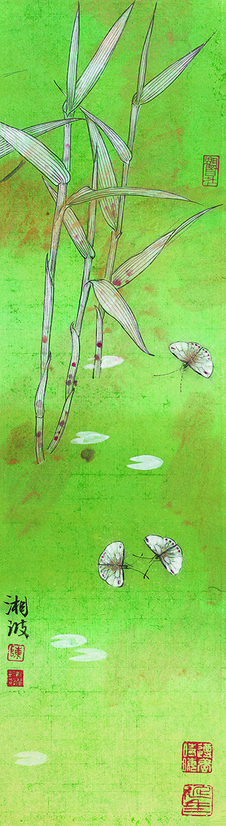 芦苇蝴蝶
