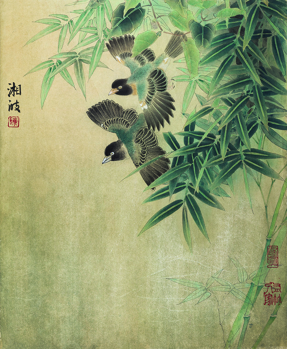 林中飞禽
