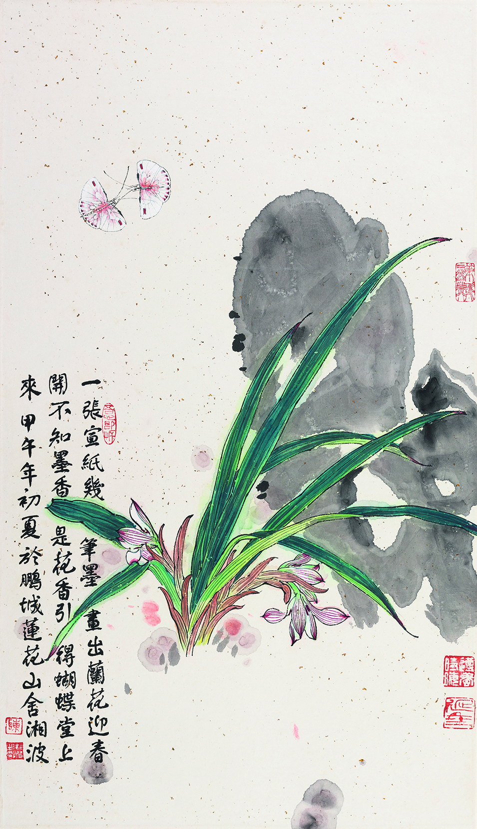 兰花迎春开