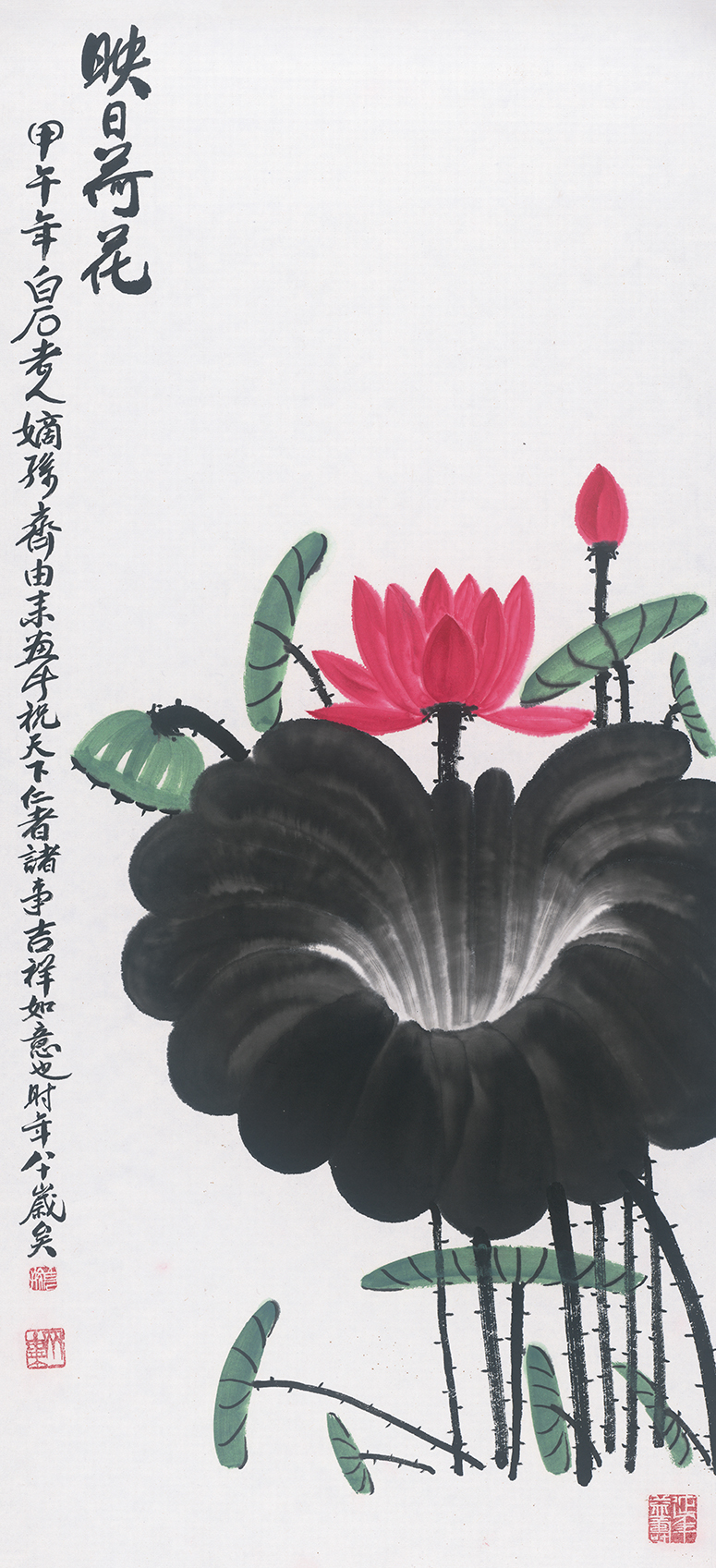 映日荷花QYL·408