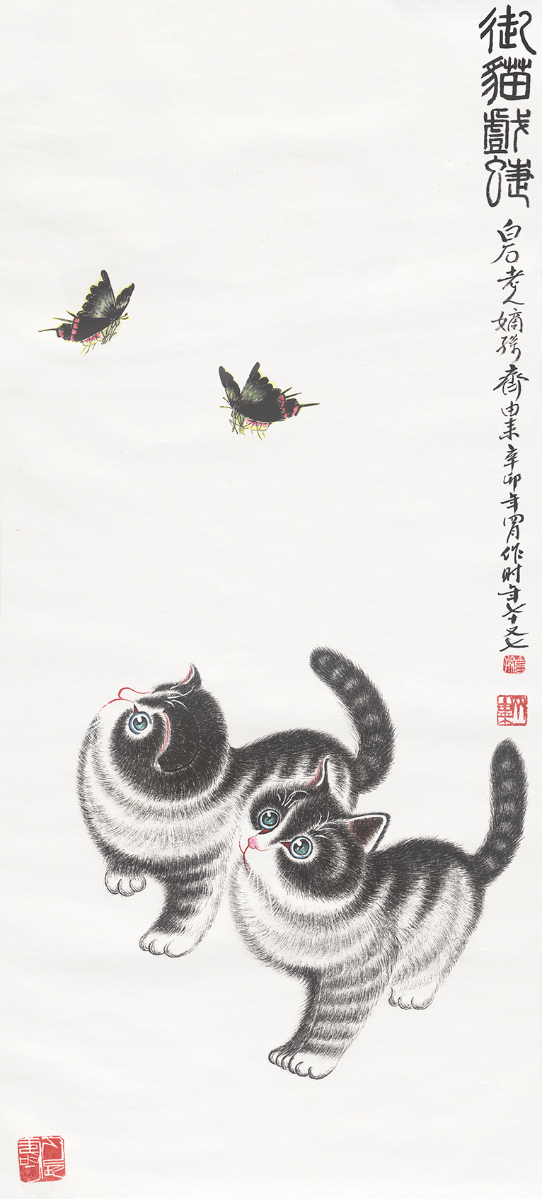 猫