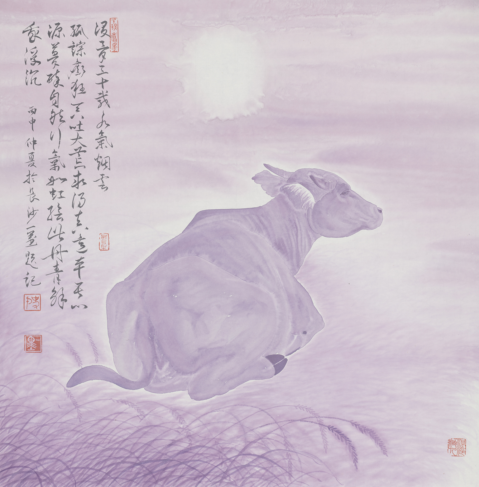 月光