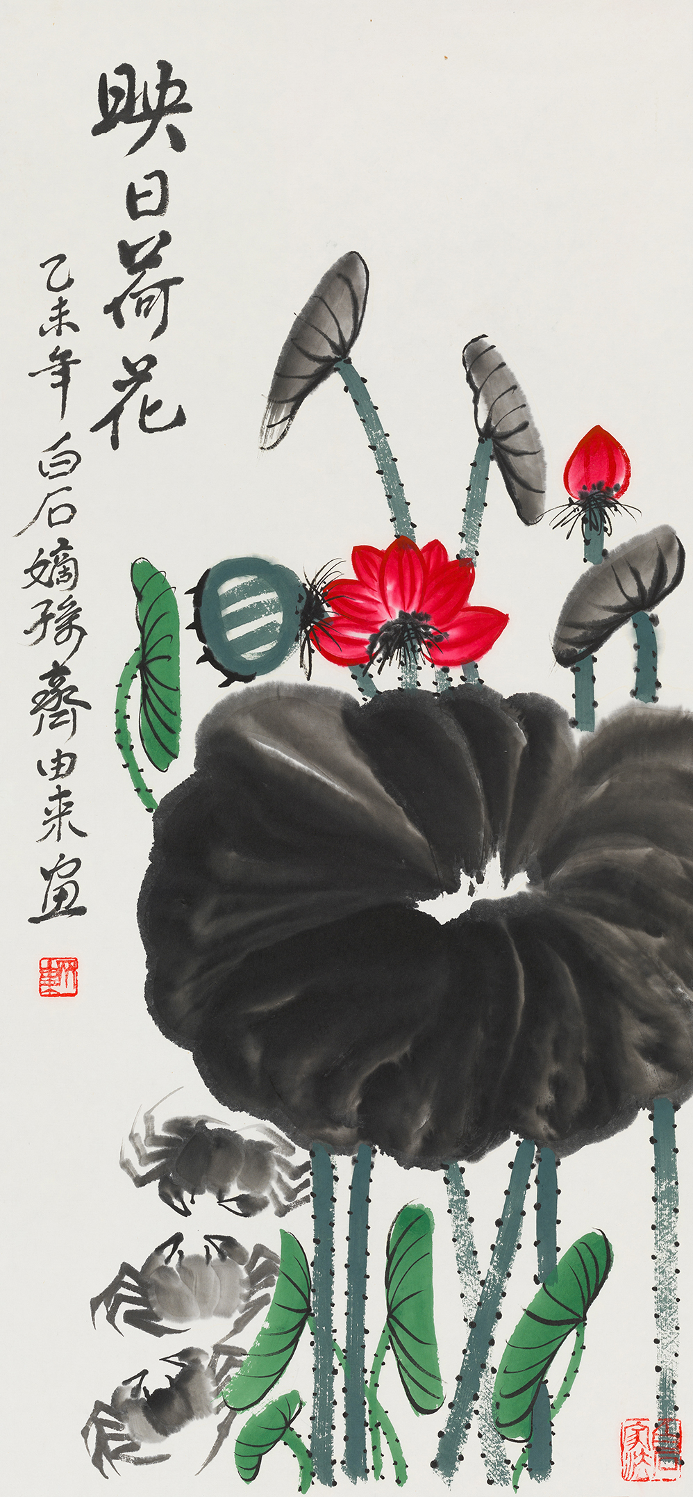 映日荷花QYL·115