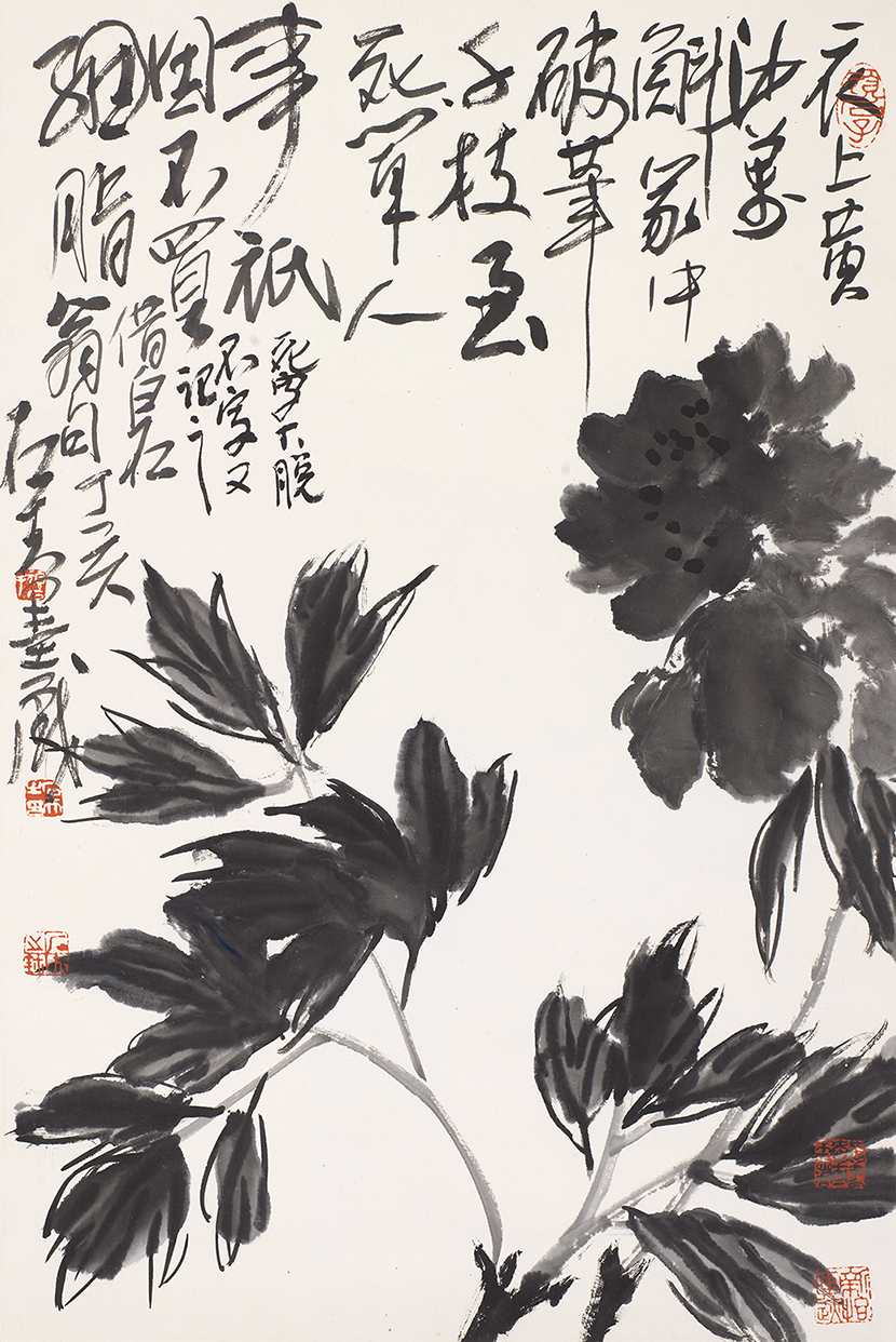 墨牡丹