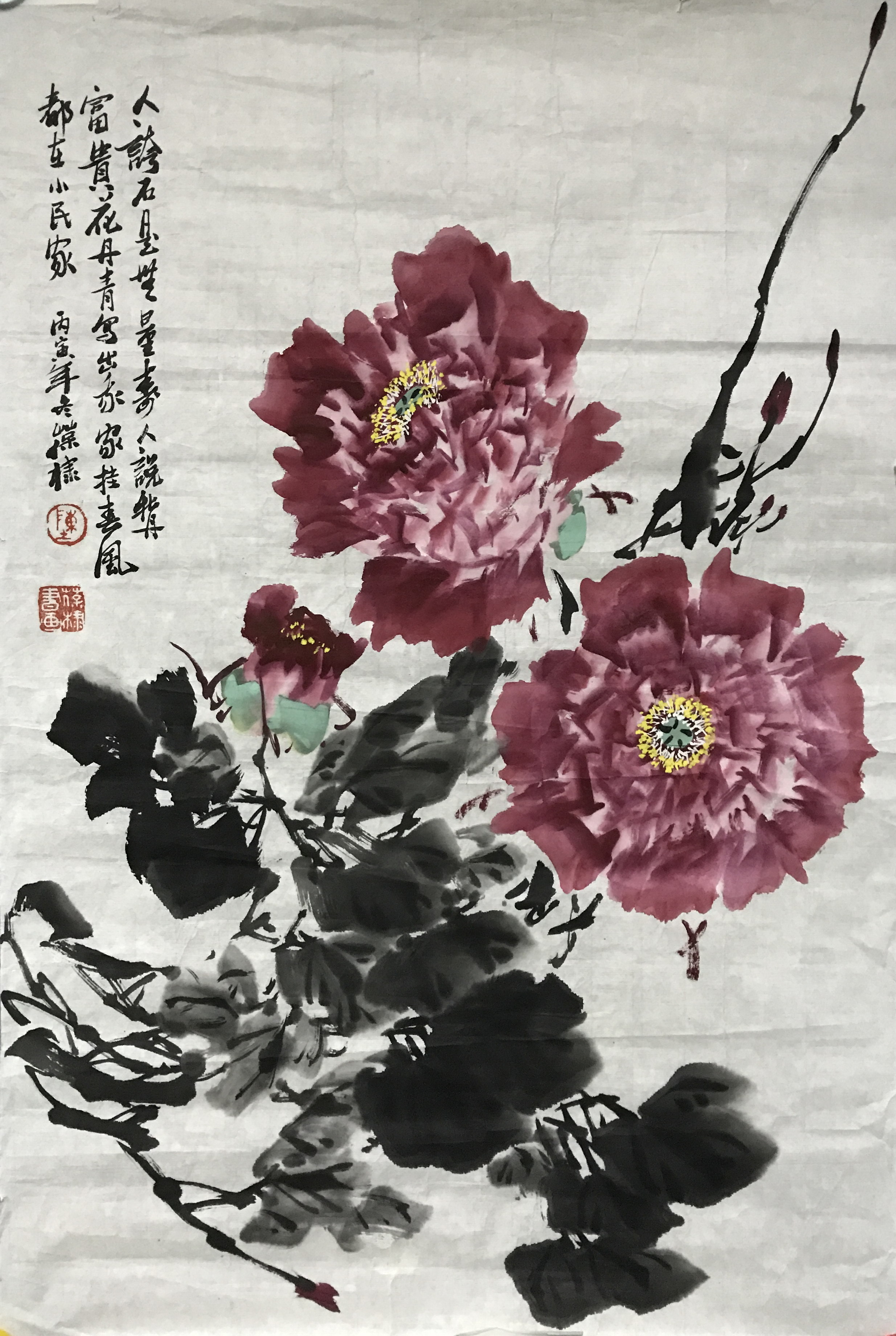 牡丹