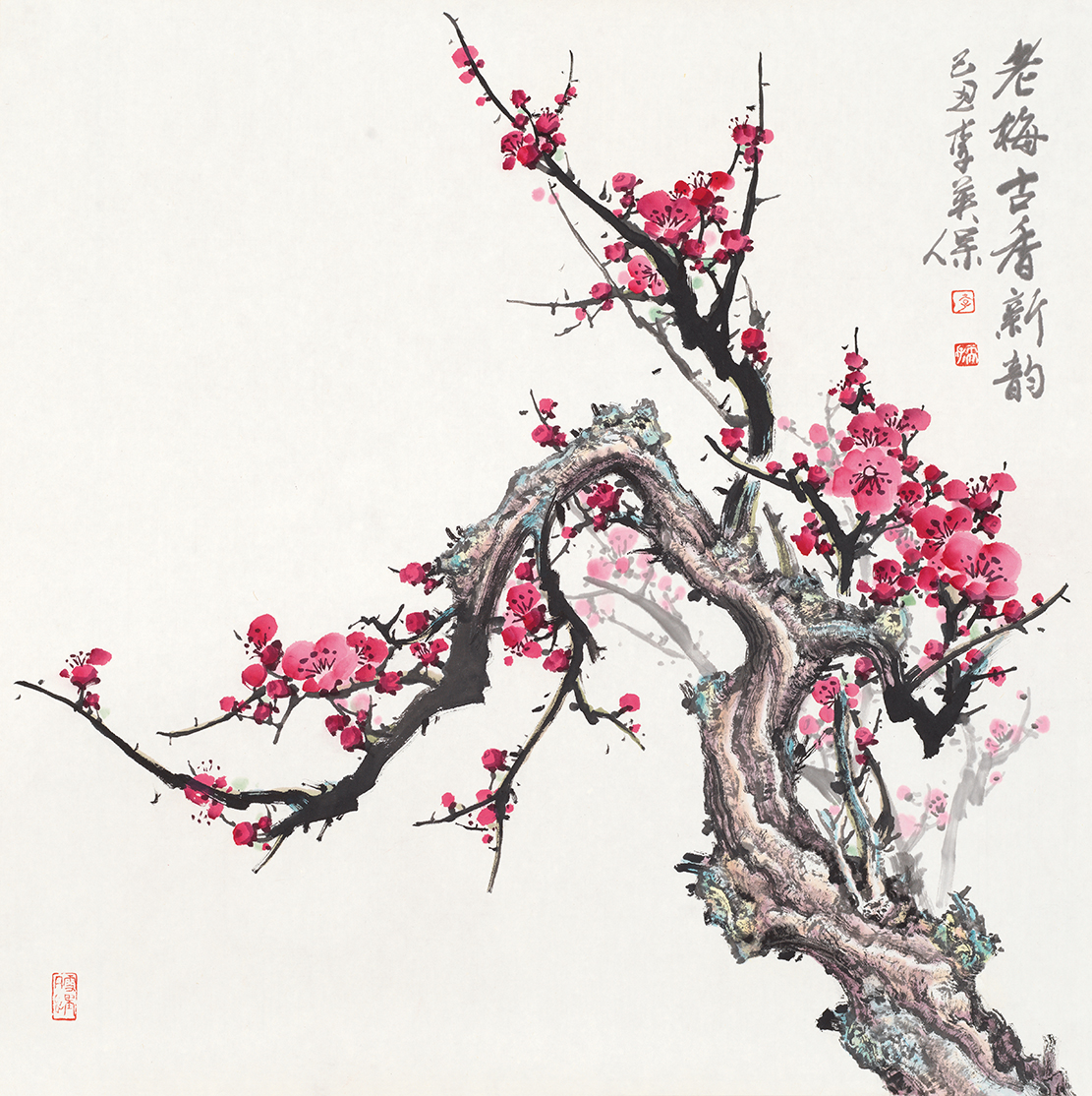 老梅古香新韵