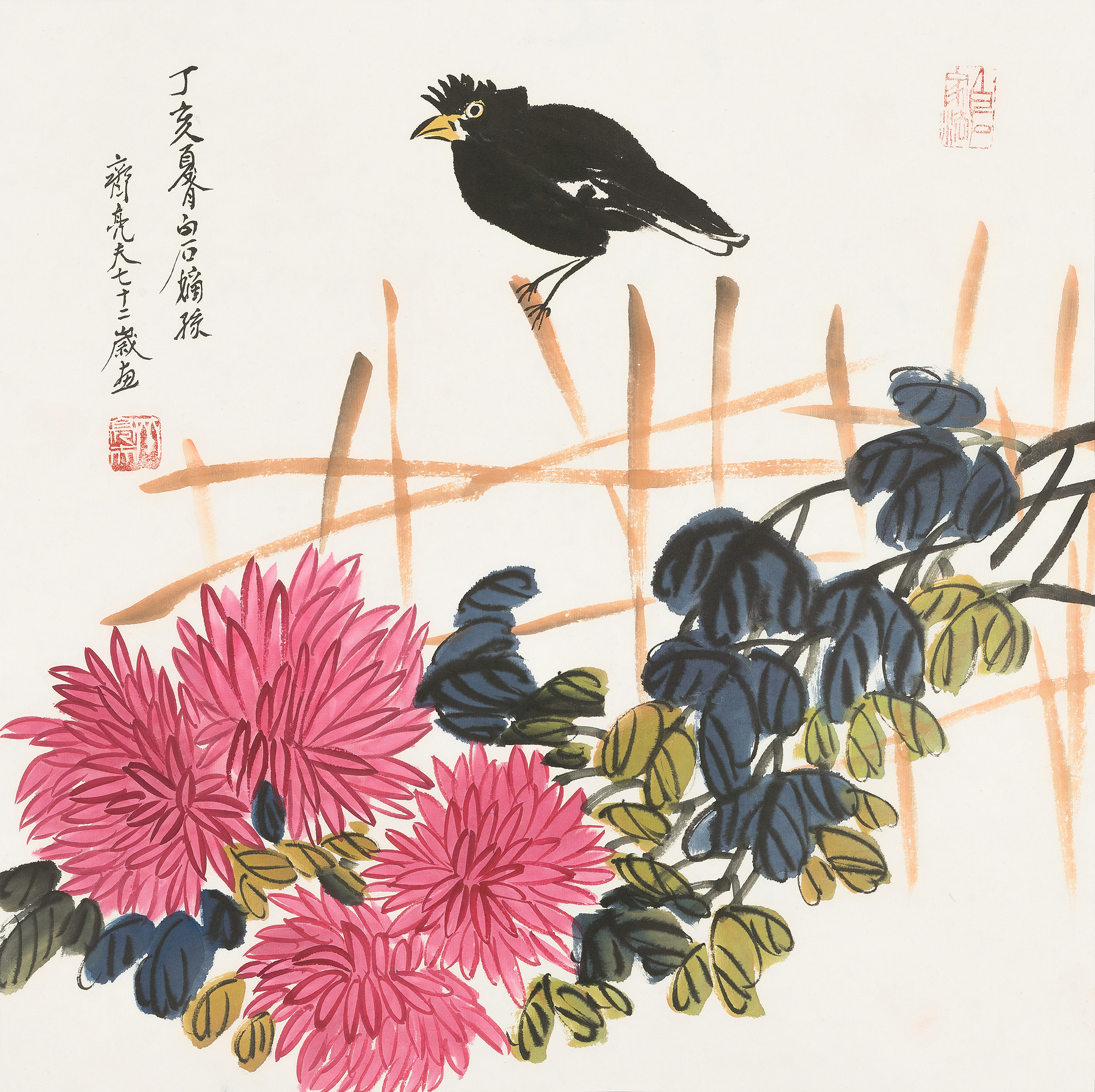 等待QLF·21