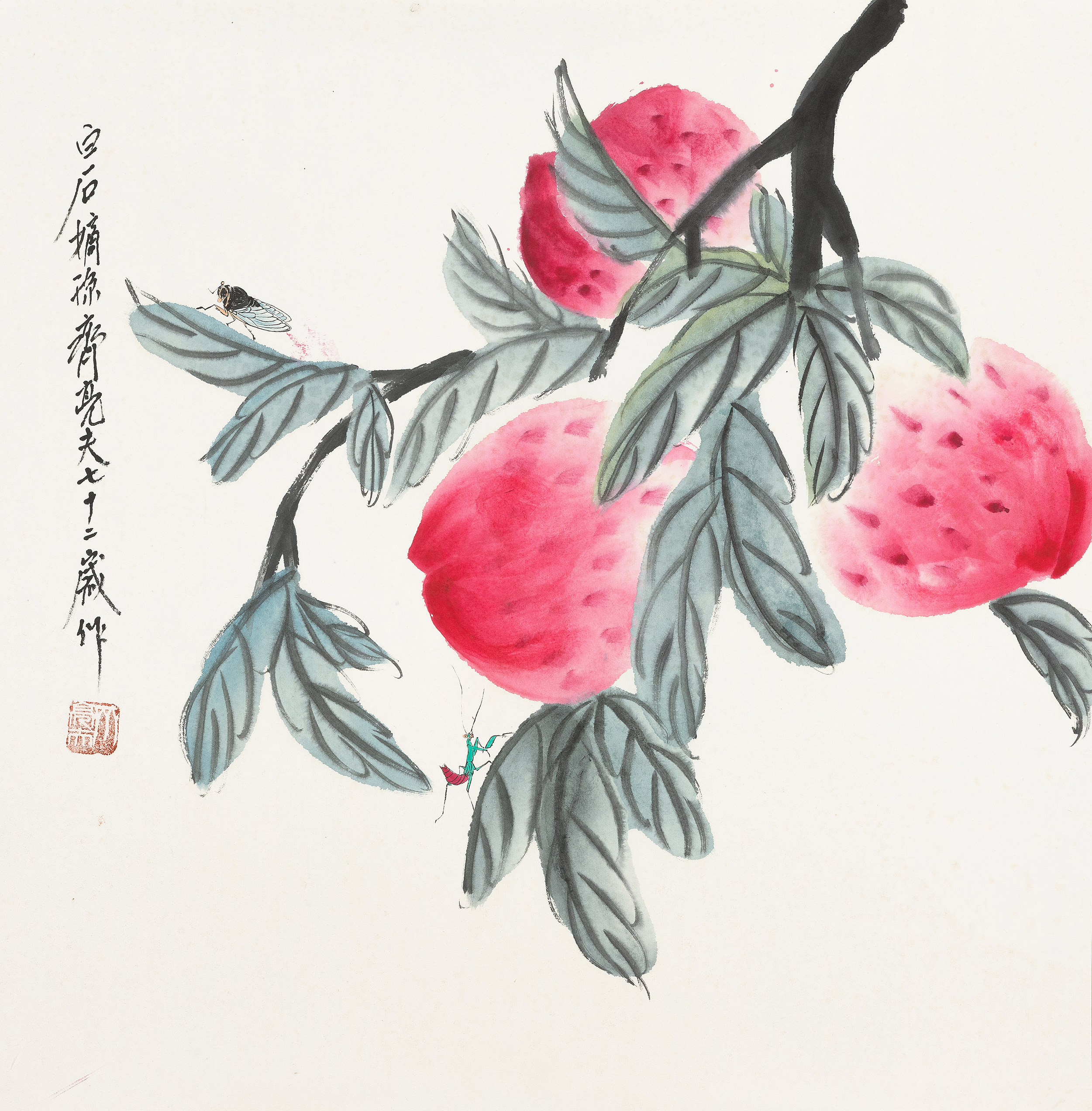 多寿QLF·183