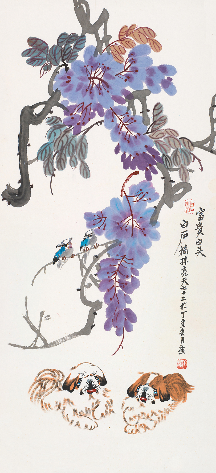 富贵白头QLF·91