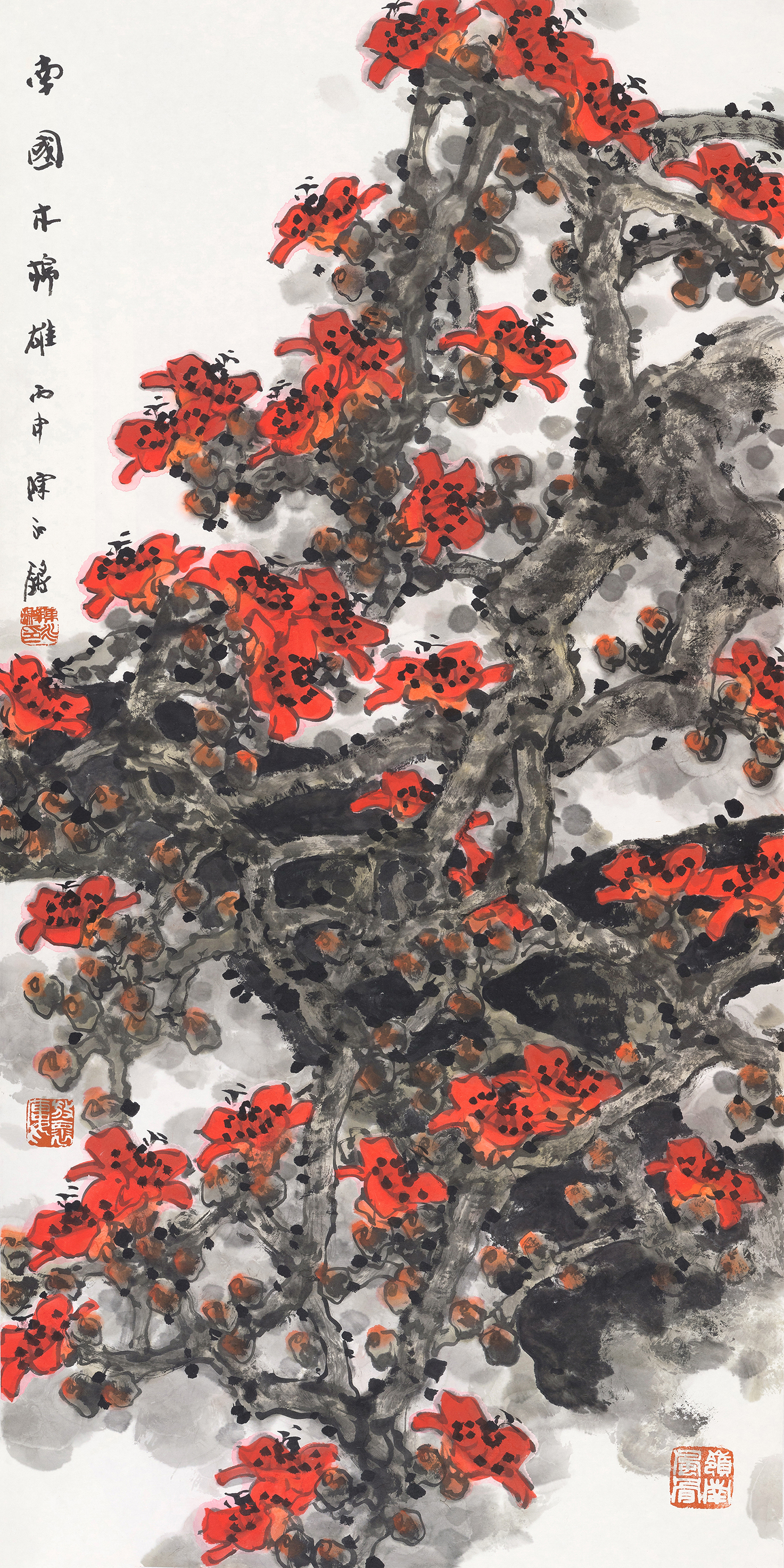 南国木棉雄