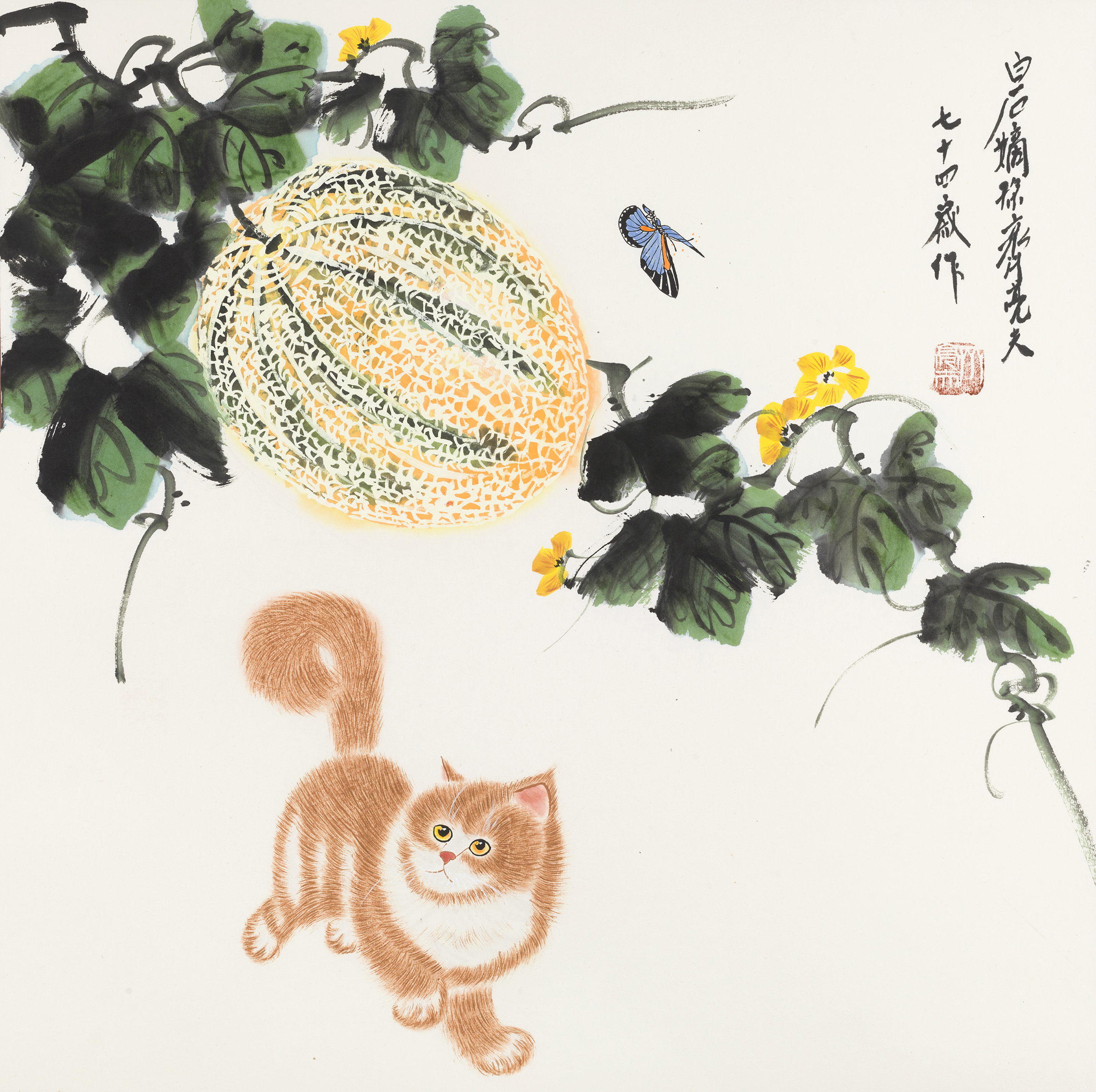 西域珍品猫戏蝶