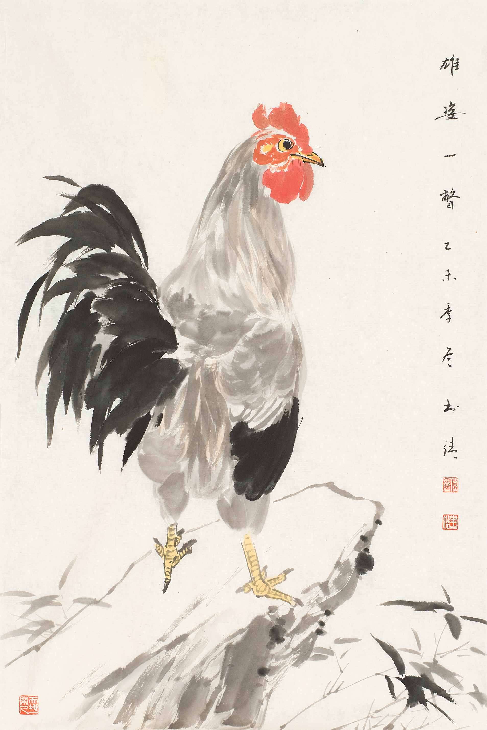 雄姿一瞥