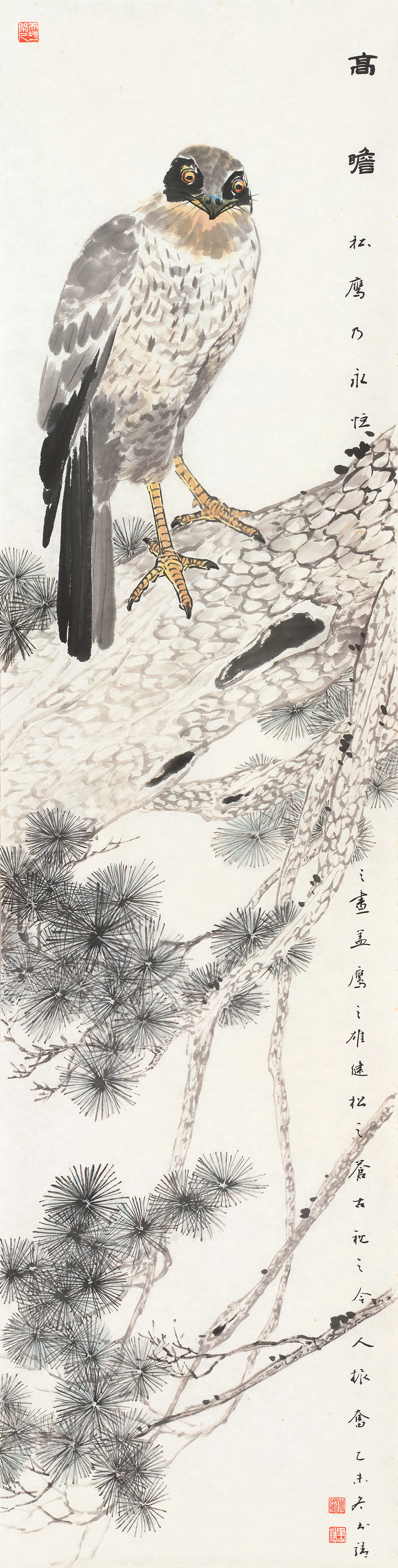 高瞻