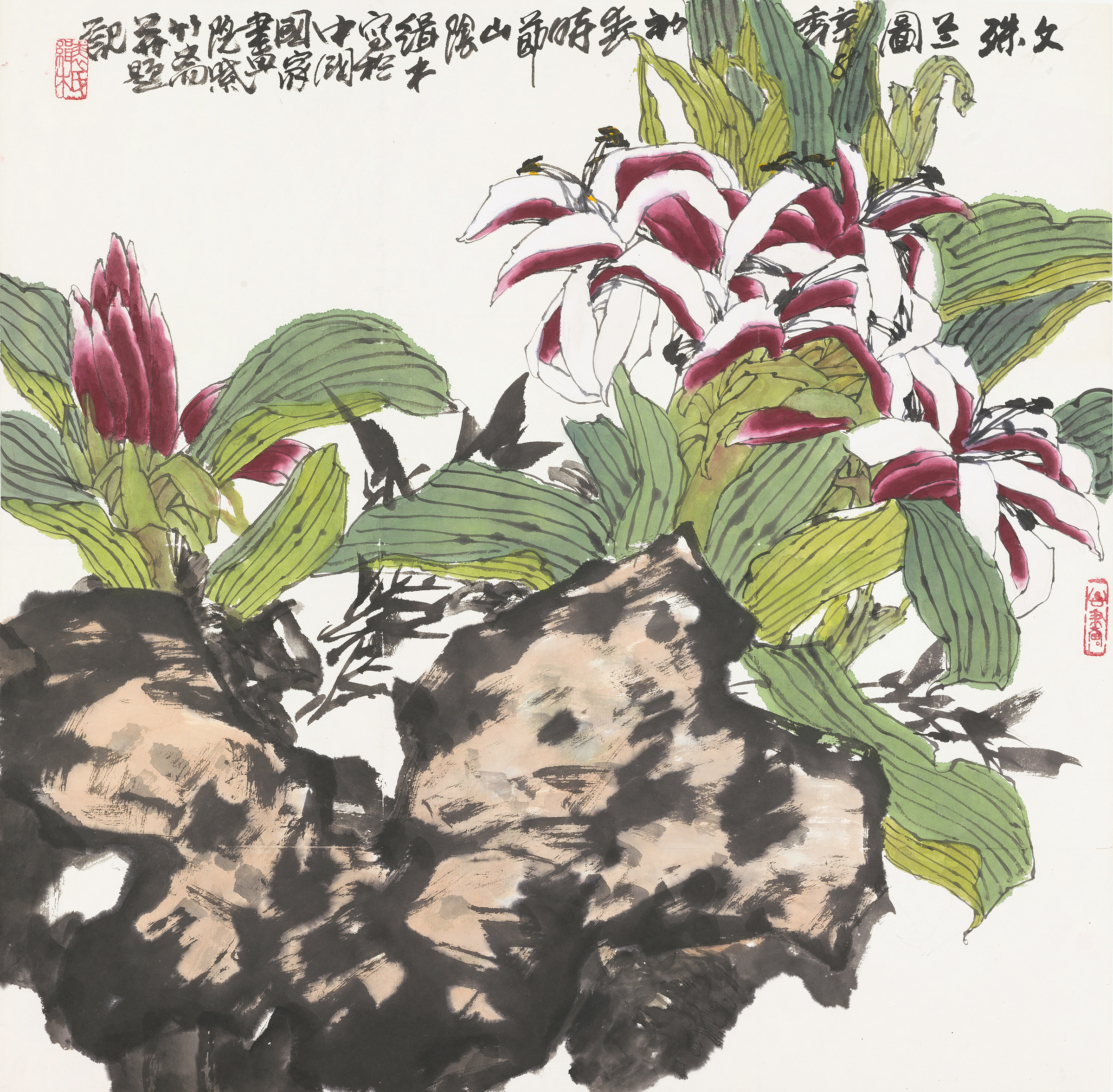 文殊兰图