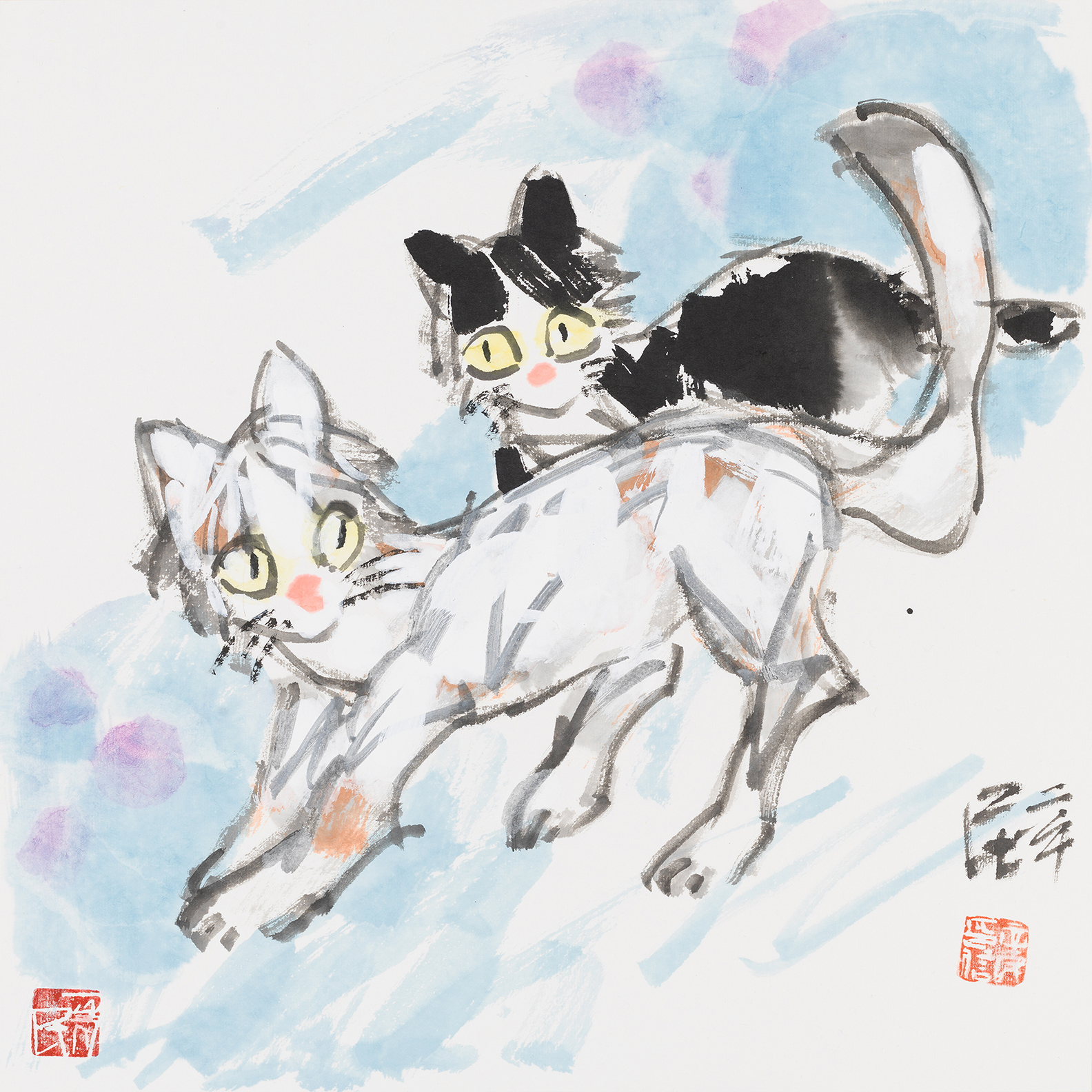 调皮的小猫咪