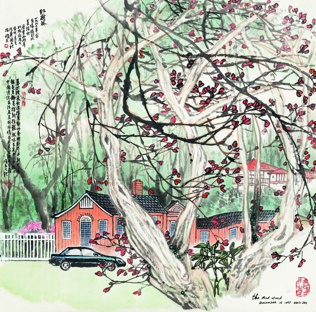 红树林