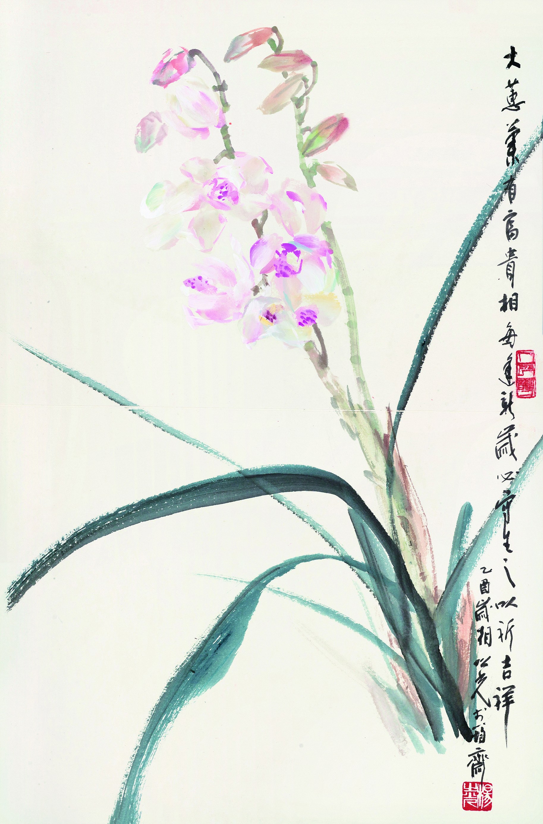 之光兰花写生集 之二