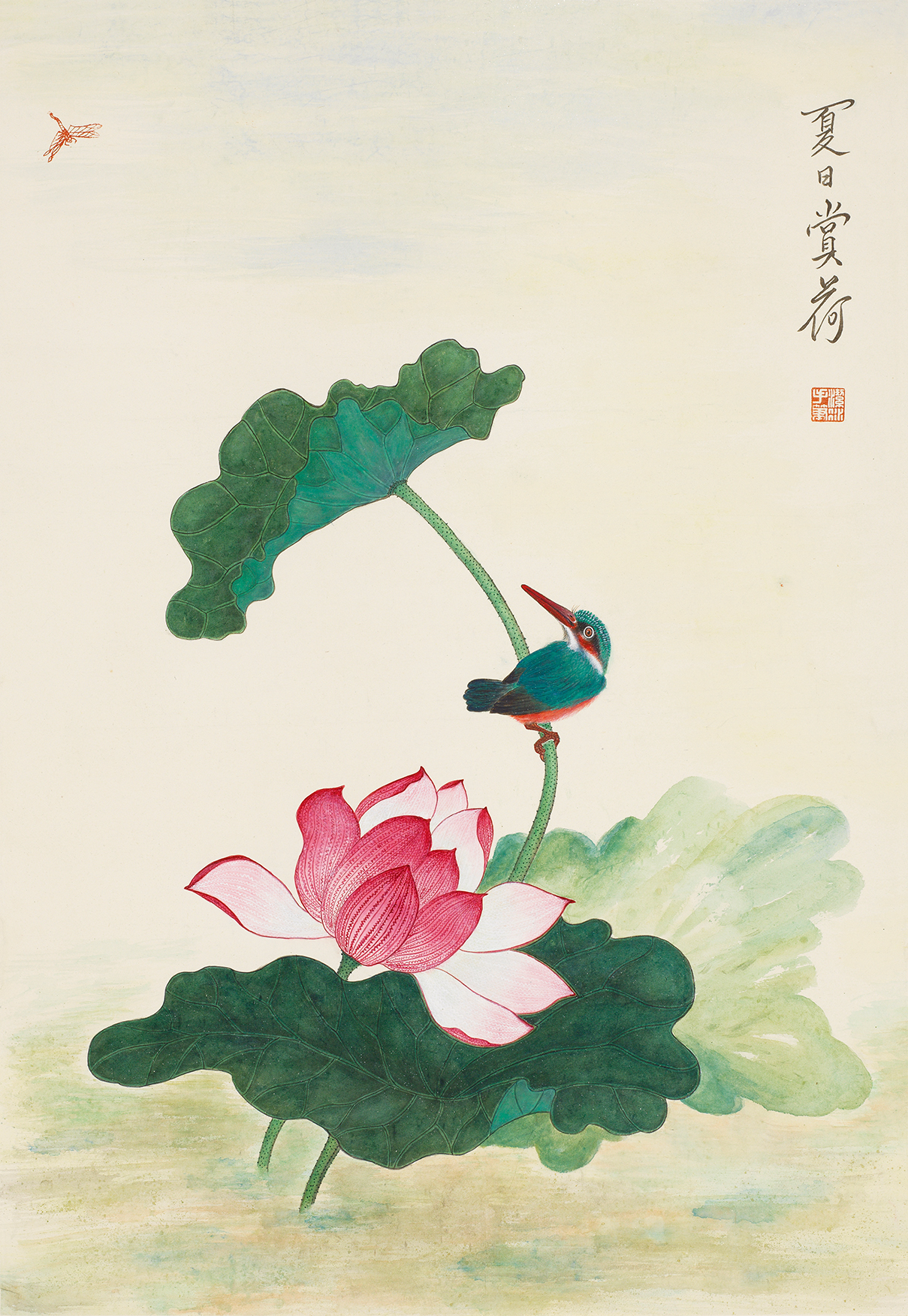 夏日赏荷