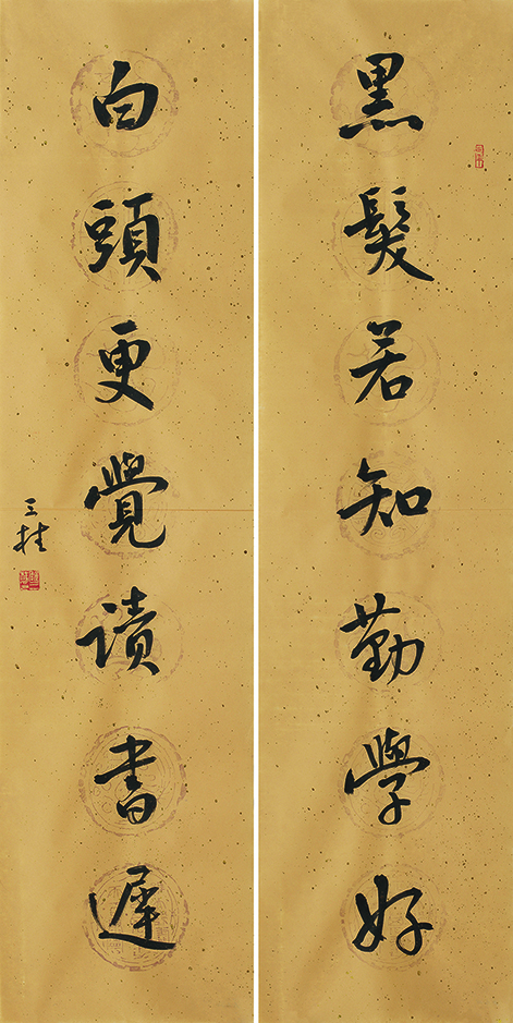 黑发白头联