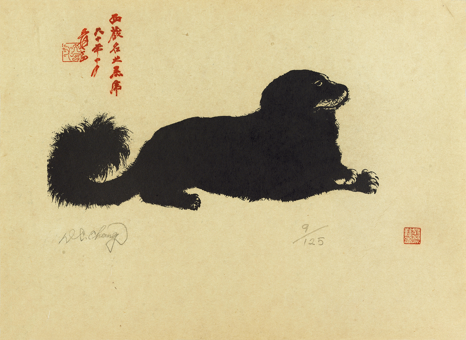 小黑虎