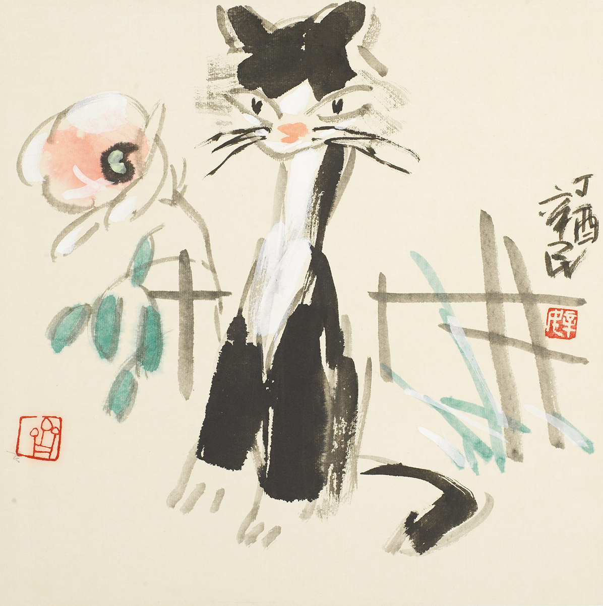 调皮的小花猫