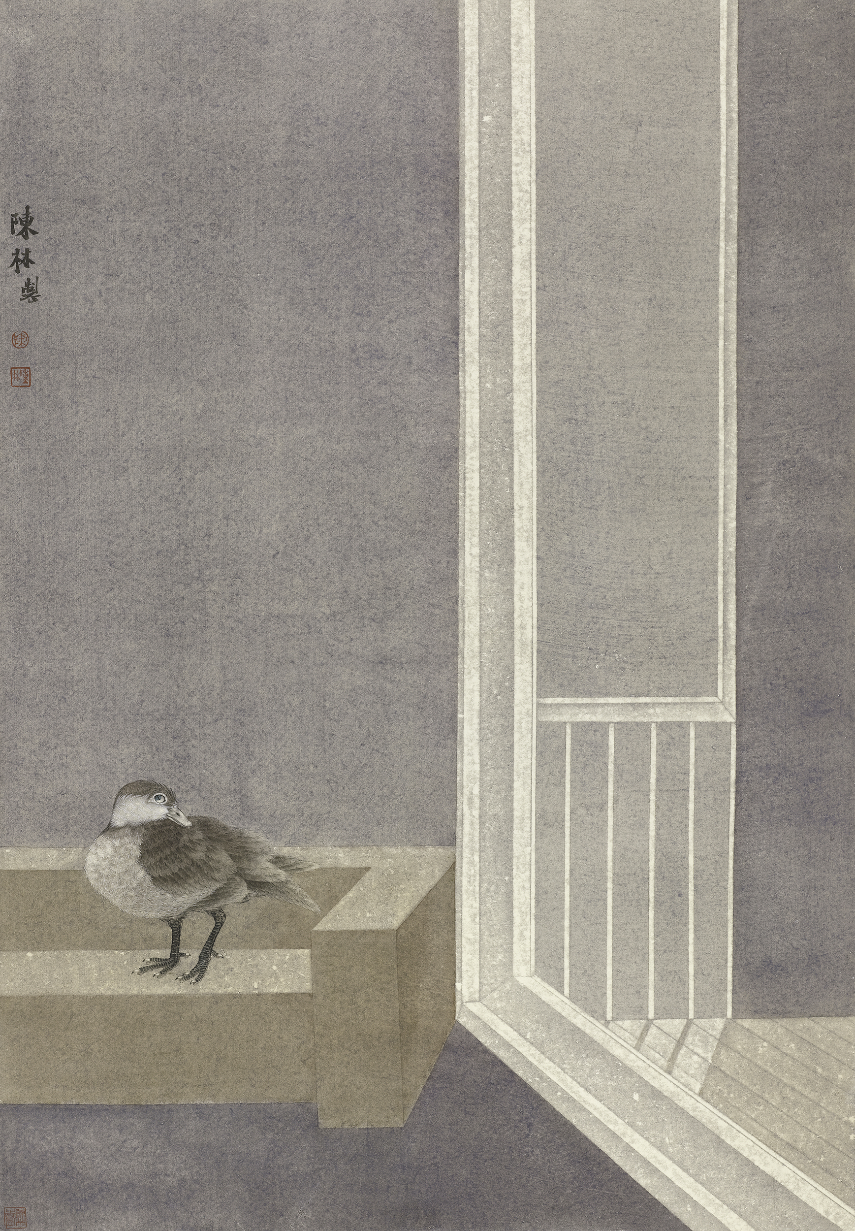 回望·光