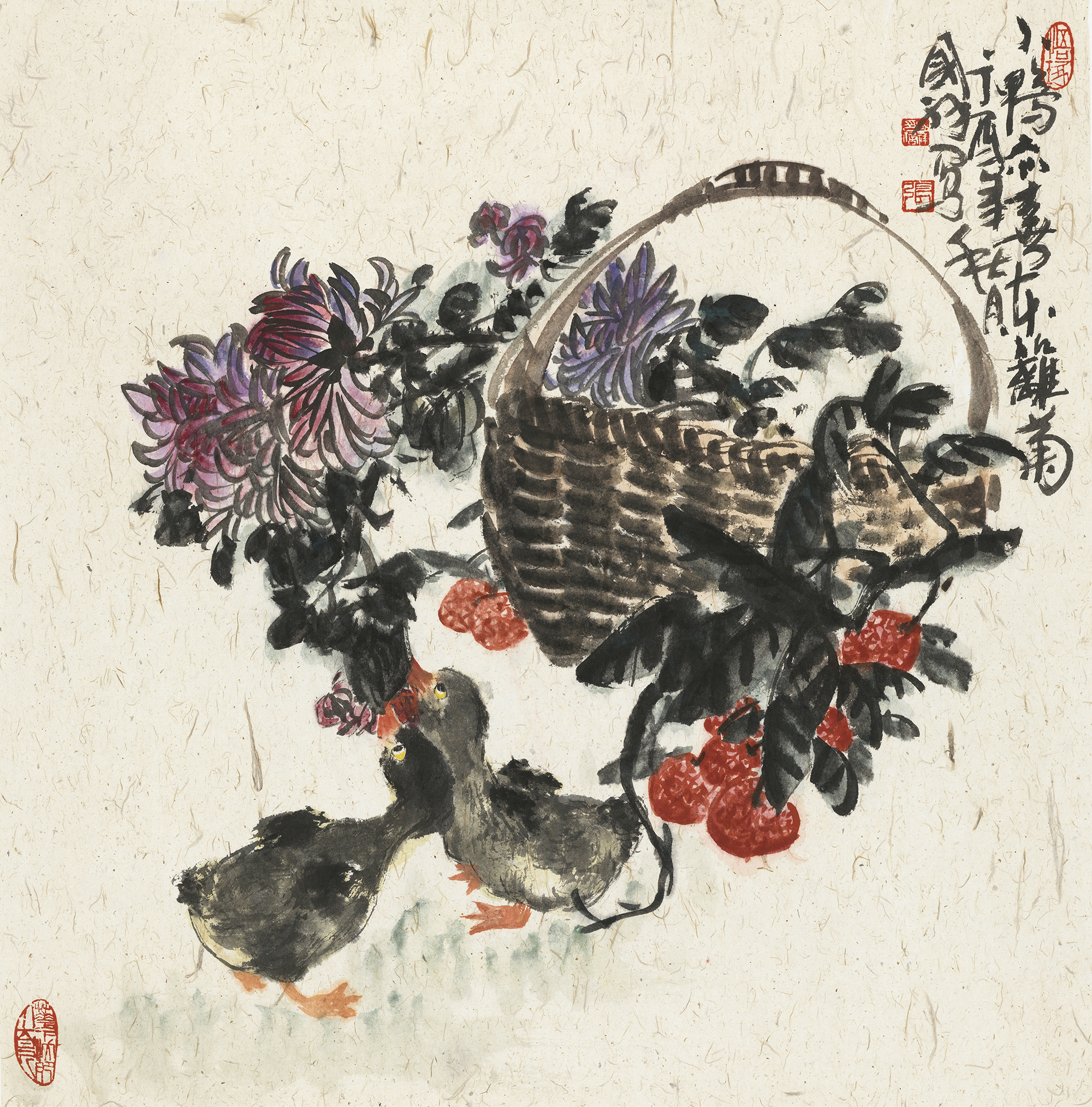 小鸭亦喜东篱菊