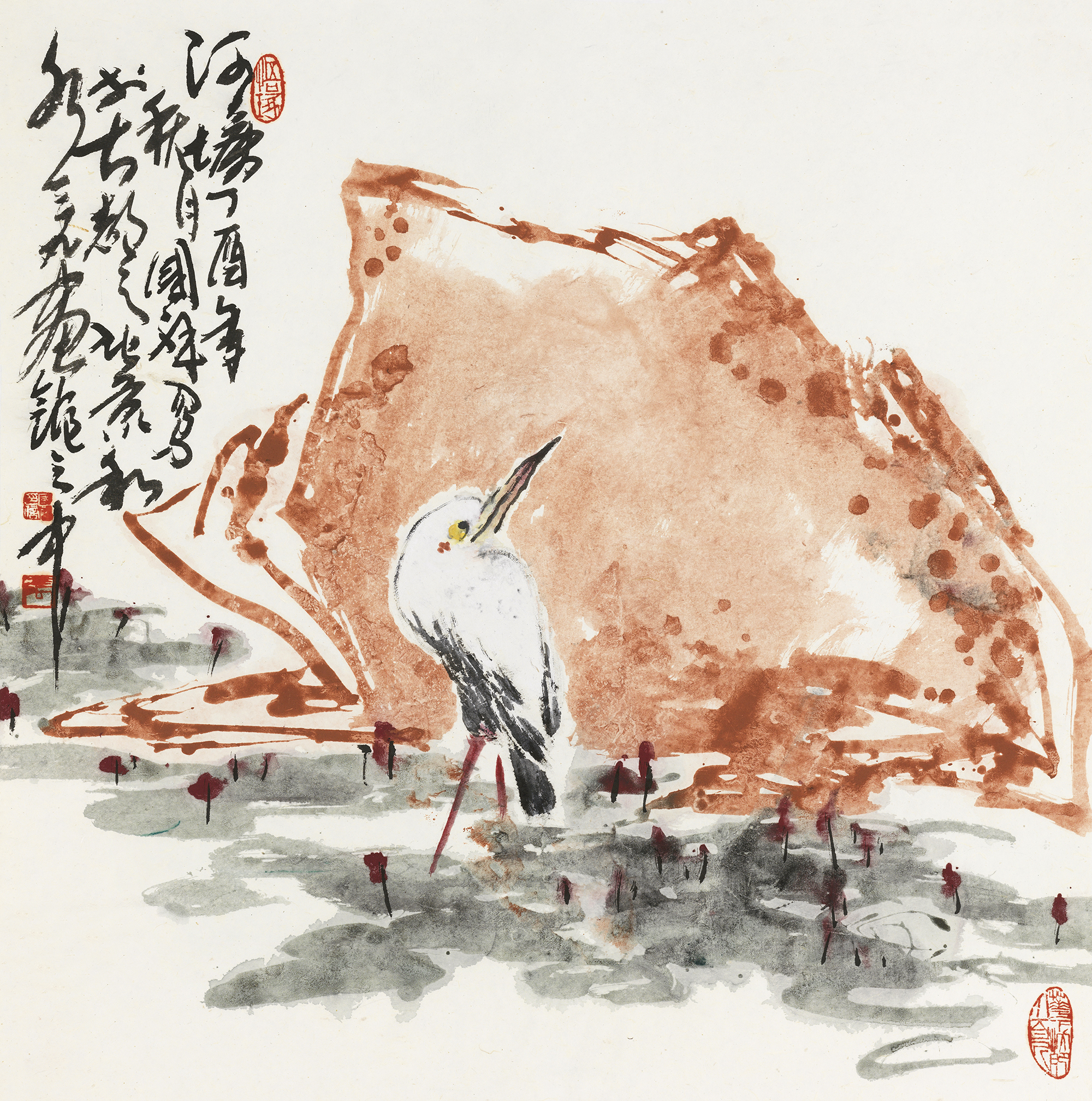 荷塘