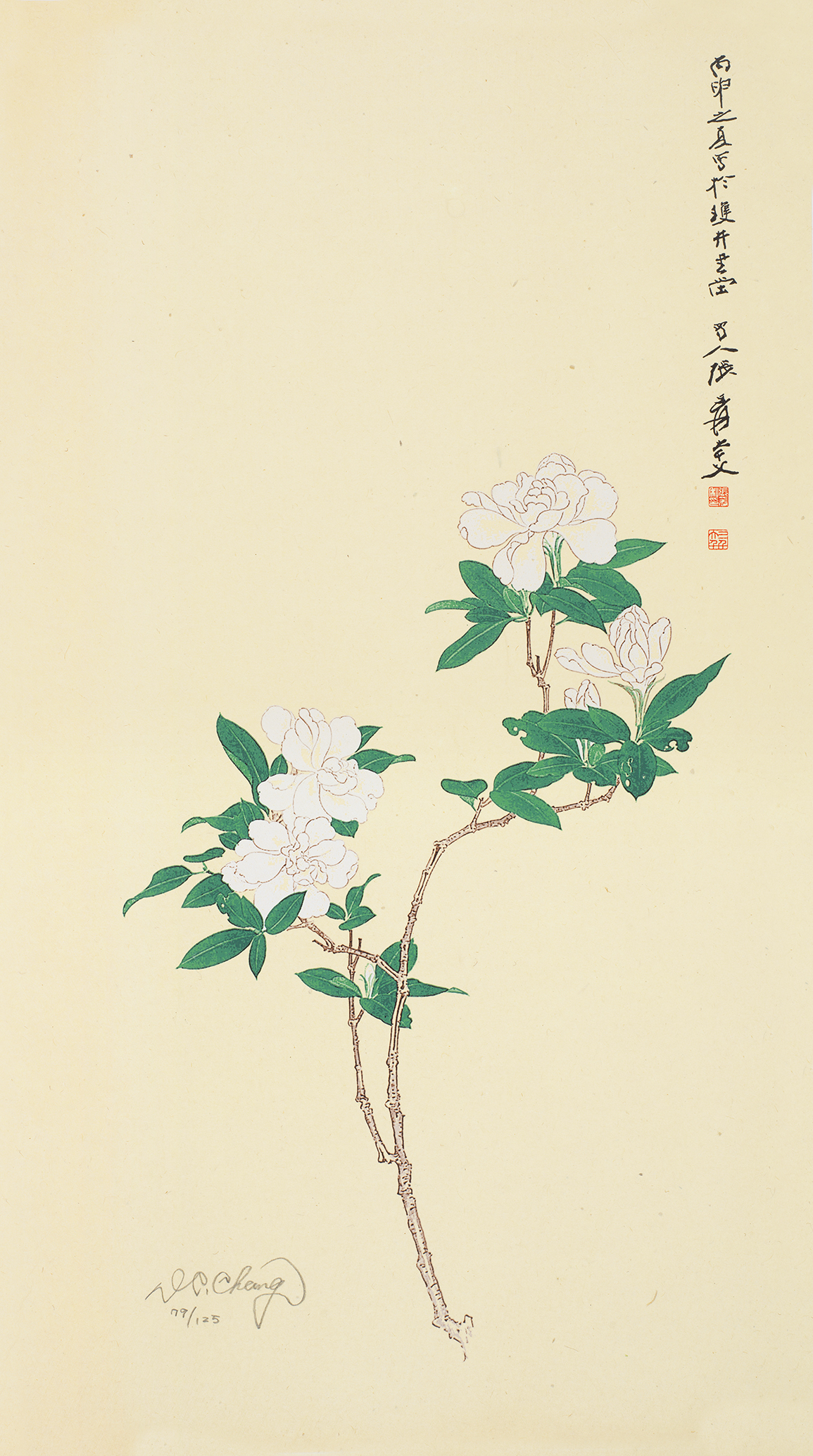 栀子花开79/125