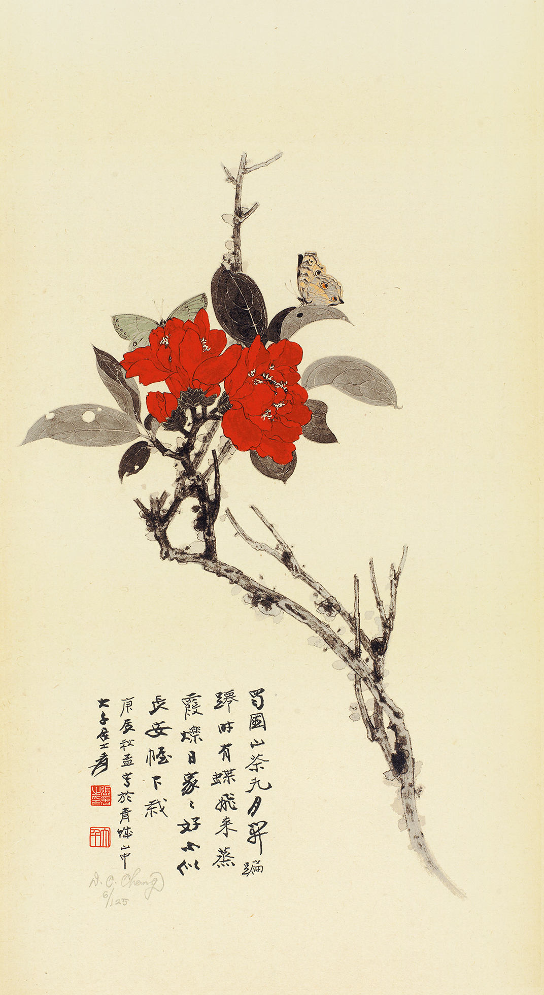 山茶花6/125