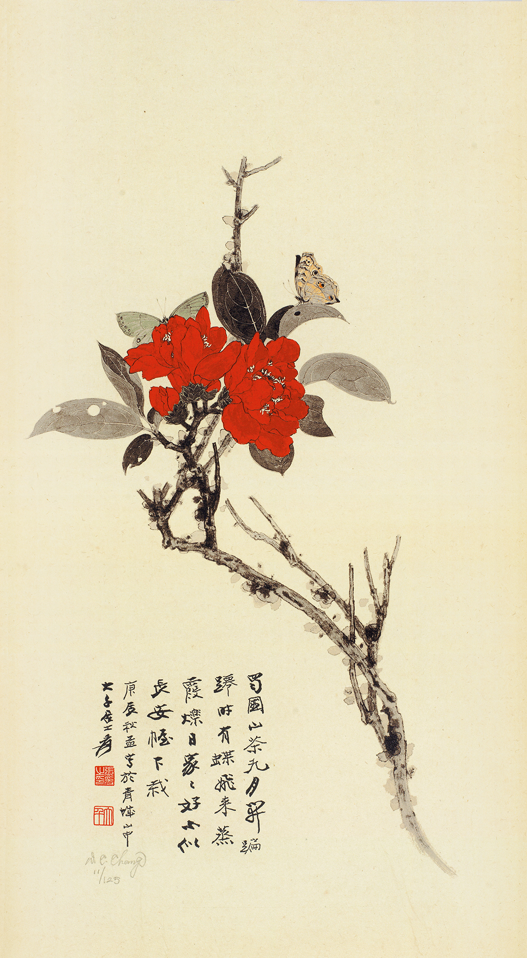 山茶花11/125