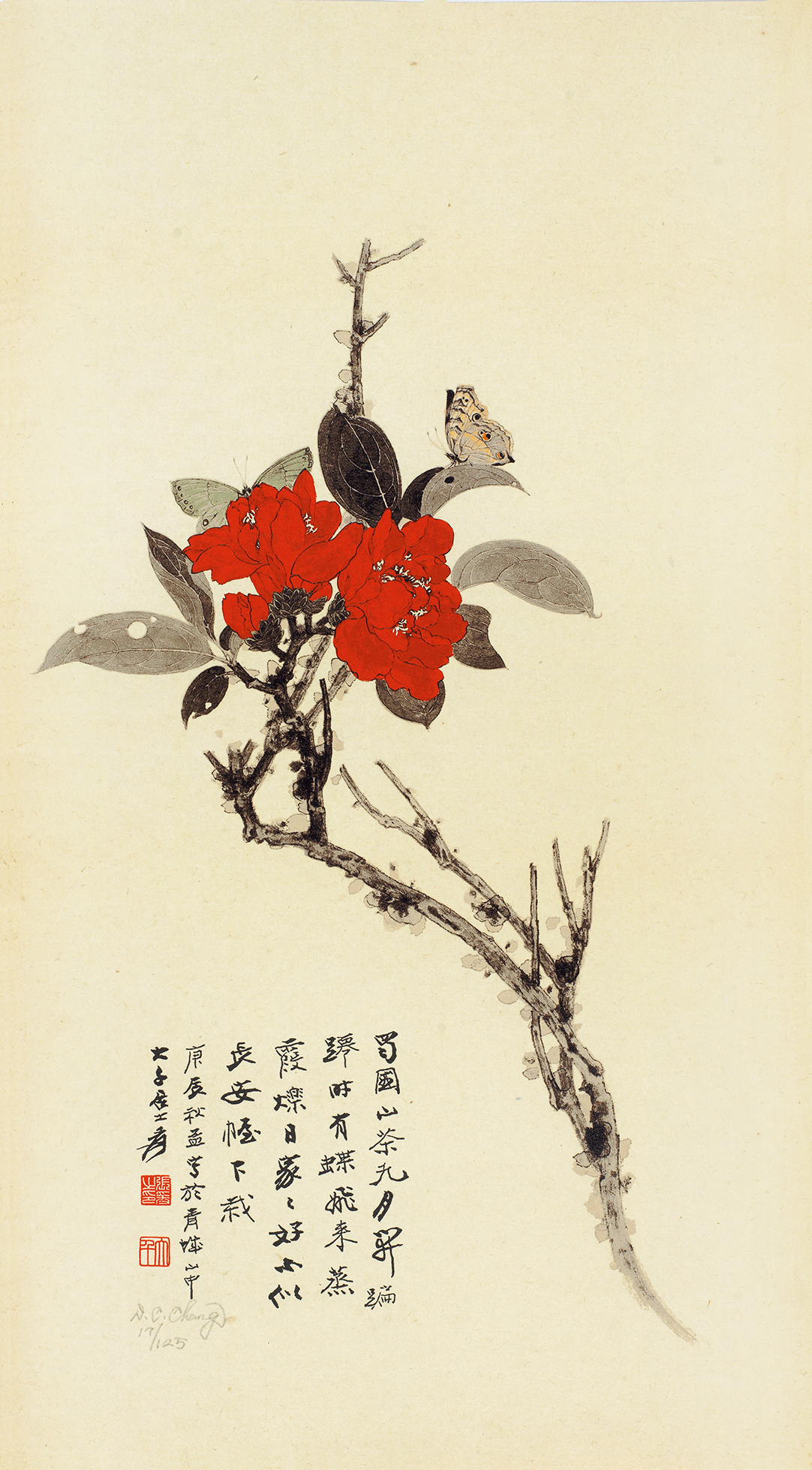 山茶花17125