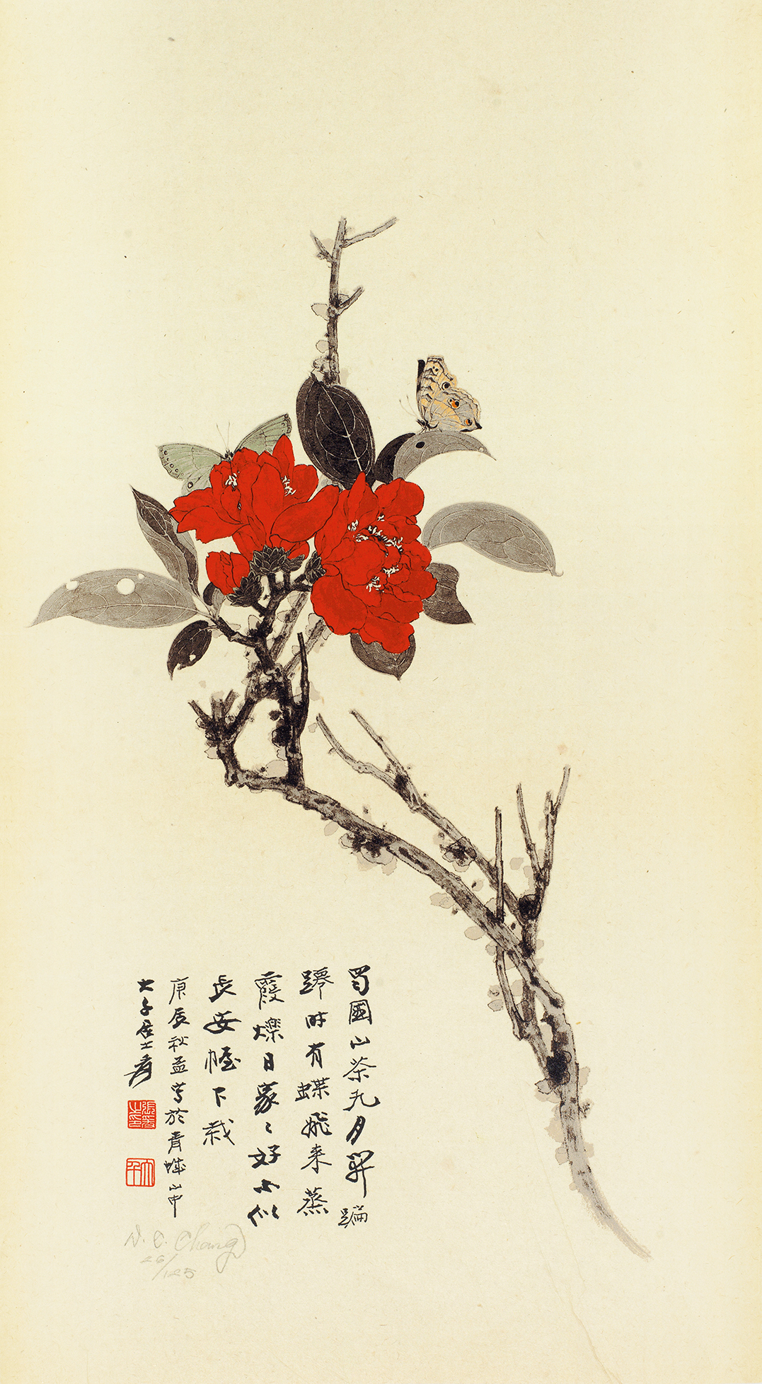 山茶花26/125