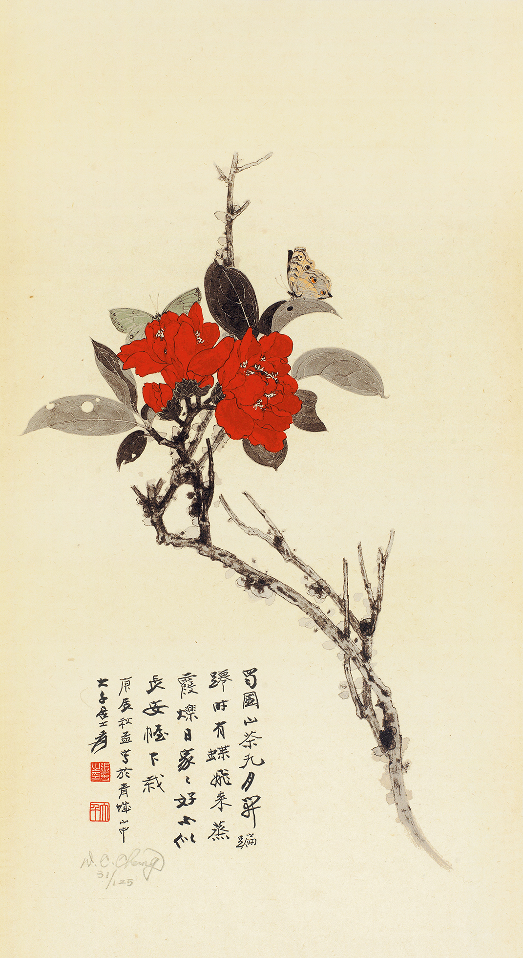 山茶花31/125