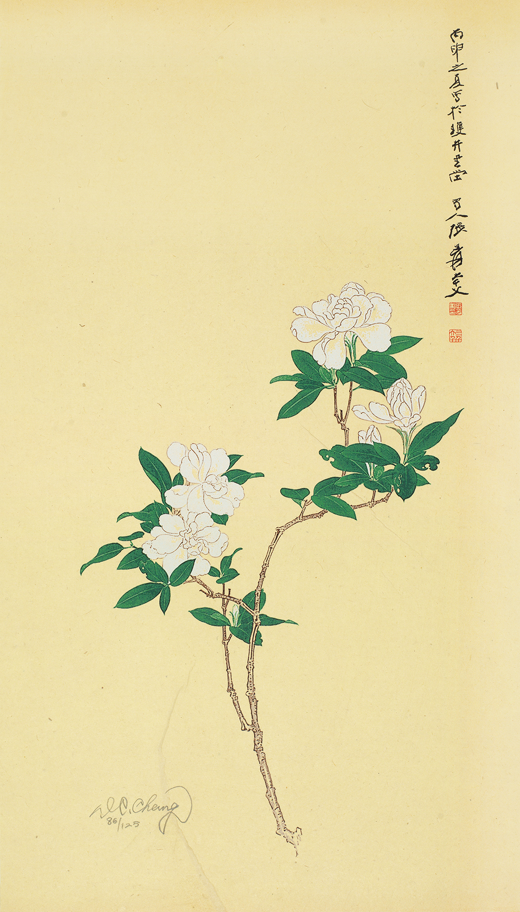 栀子花开86/125