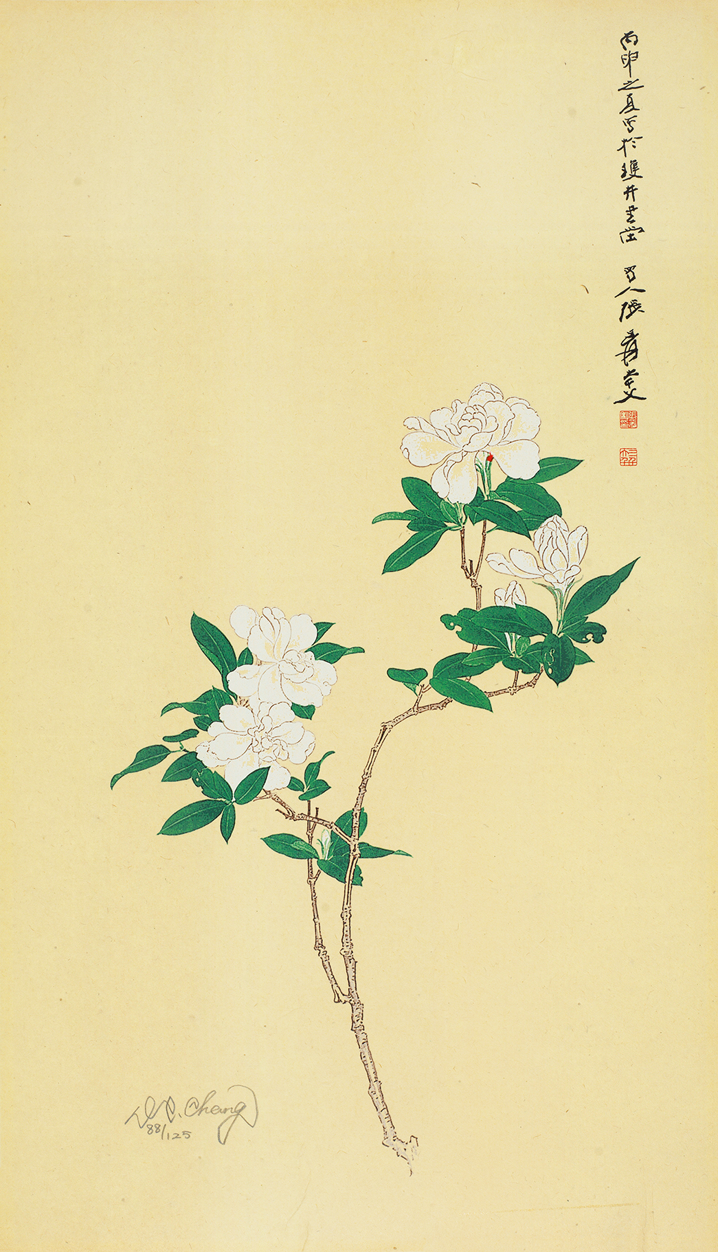 栀子花开88/125
