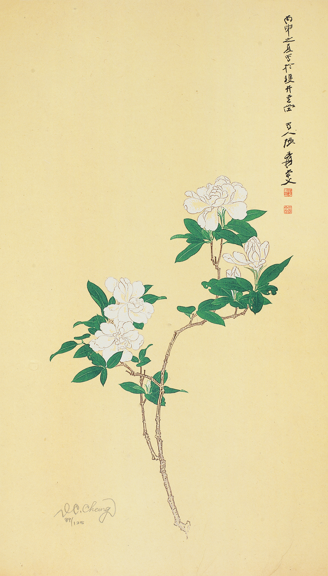 栀子花开89/125